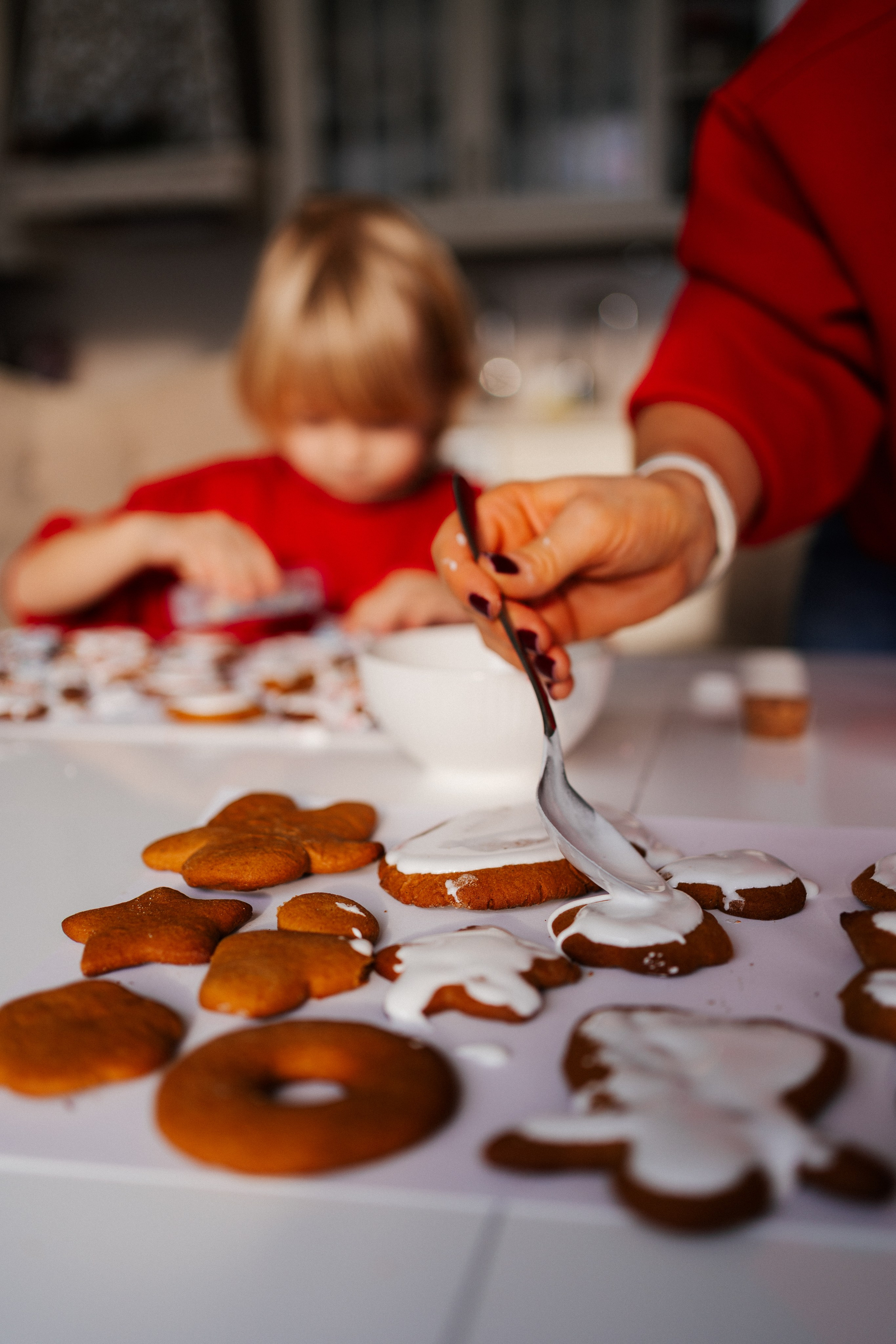 CHRISTMAS FAMILY. PHOTOGRAPHER|VIDEOGRAPHER MONTENEGRO