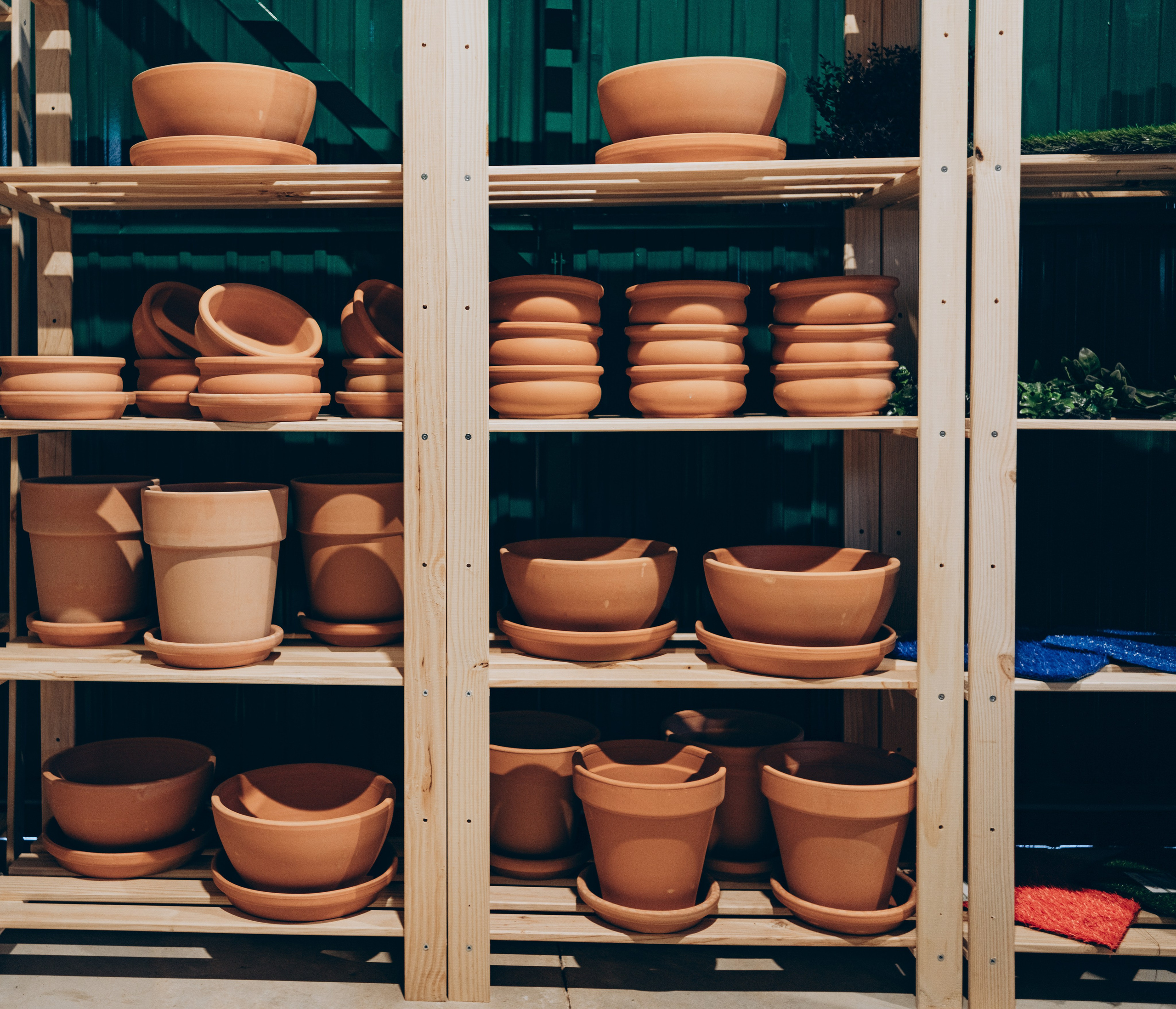Centro Jardin. Photographer in Mallorca