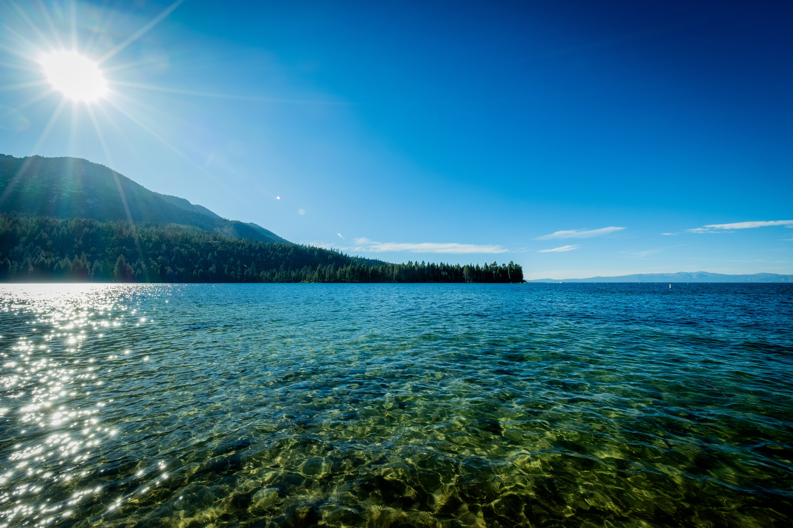 TAHOE. Reportage concert portrait photography in the San Francisco Bay Area