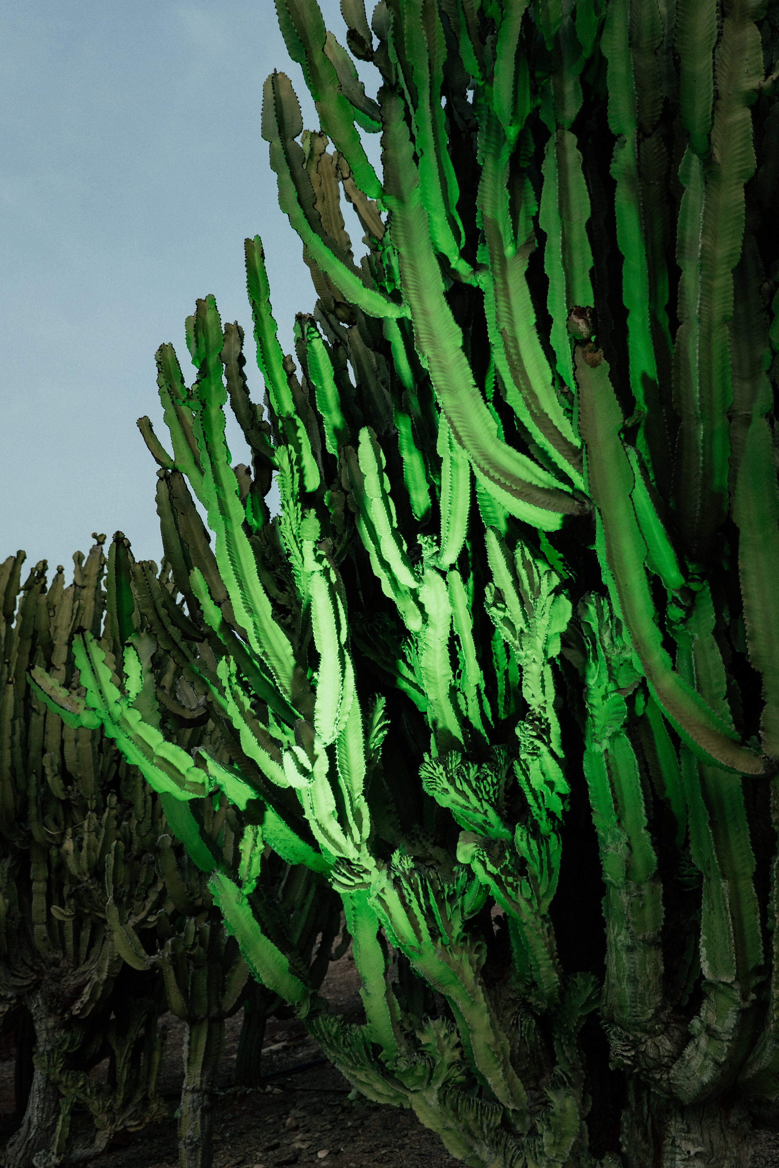 Gonzalo & Maria (Murcia)