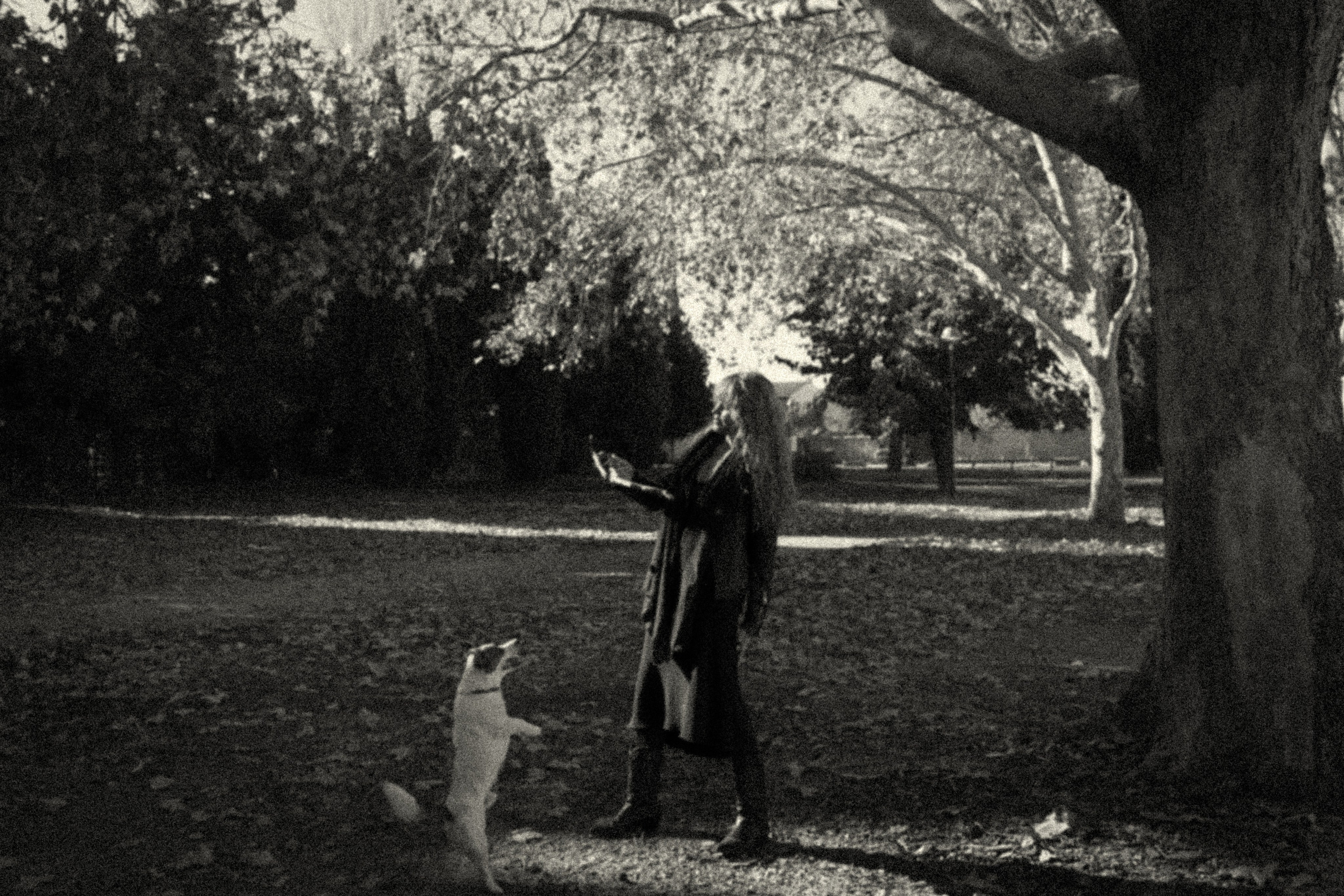 Sunrise. Histoires d’amour, séances photos de famille et de mariage en France