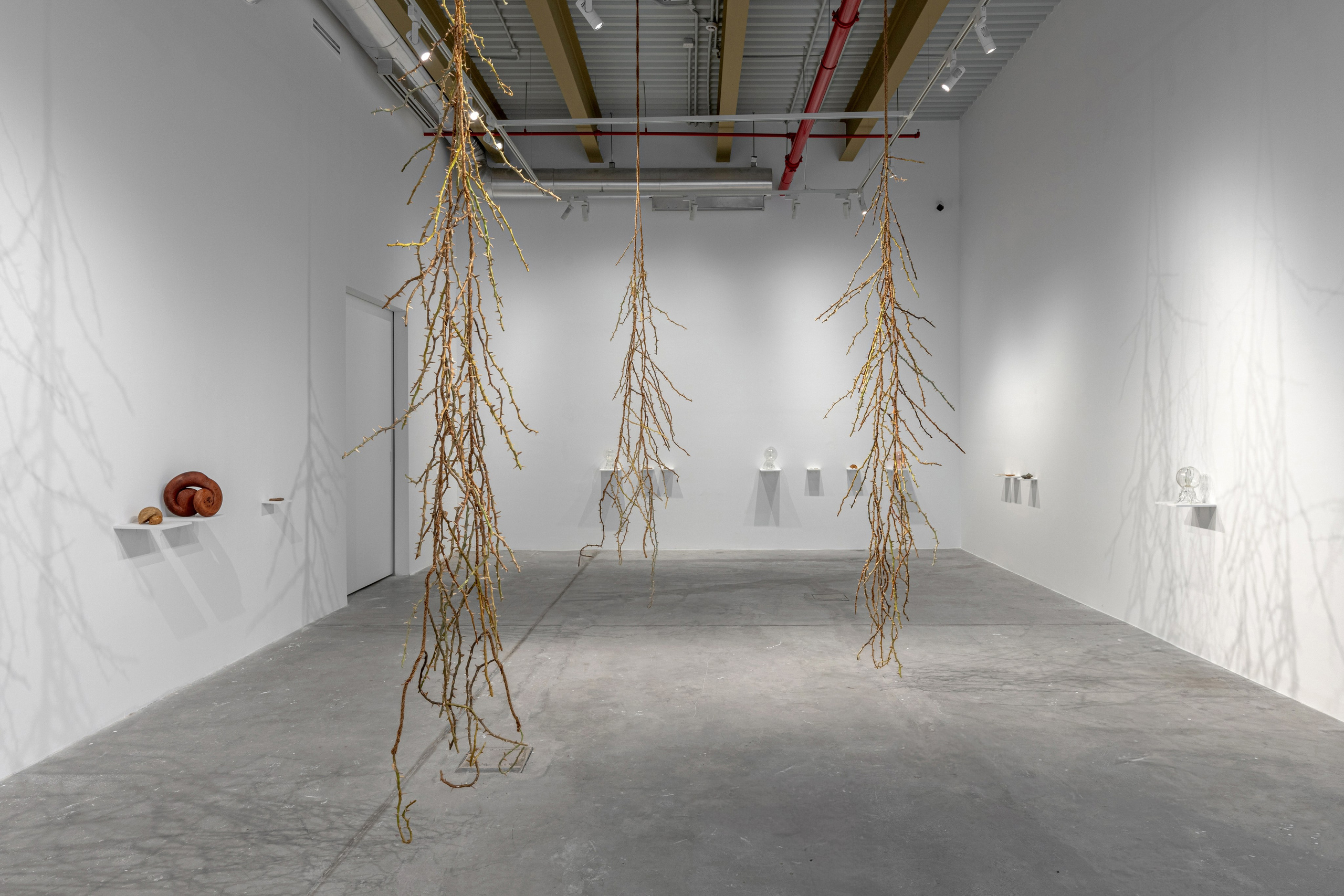 Nika Project Space “Beghost”