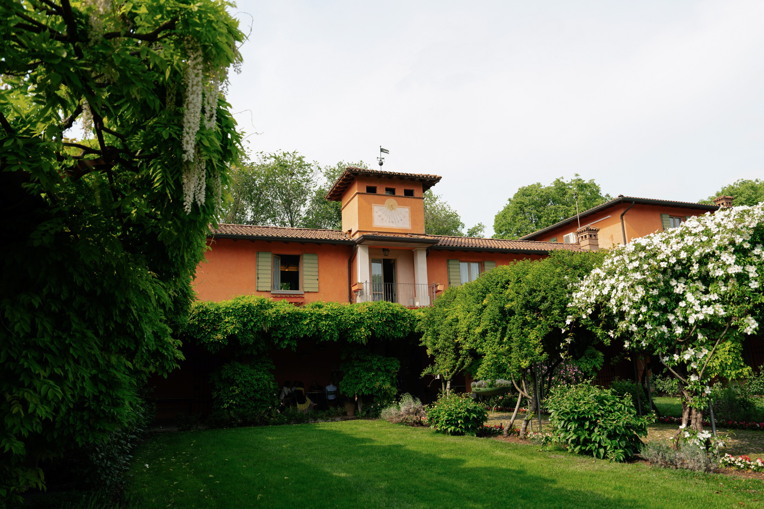 Adele Mari. Studio Timis