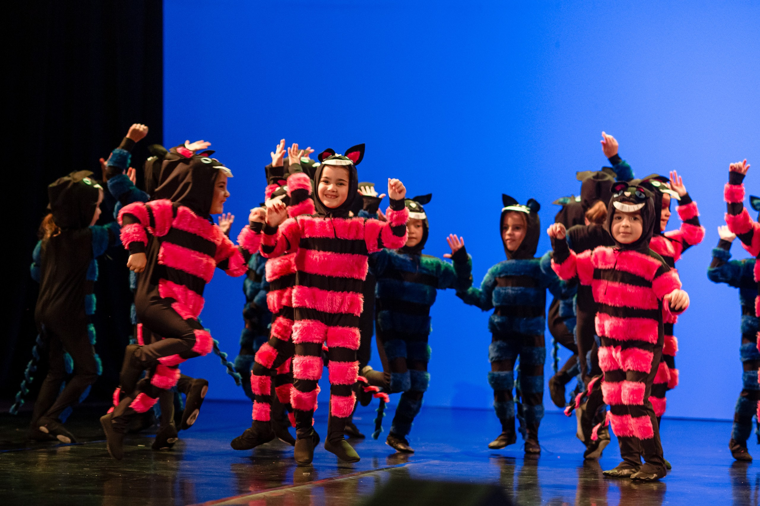 Espetáculo Teatral Alice no País das Maravilhas — Recriarte