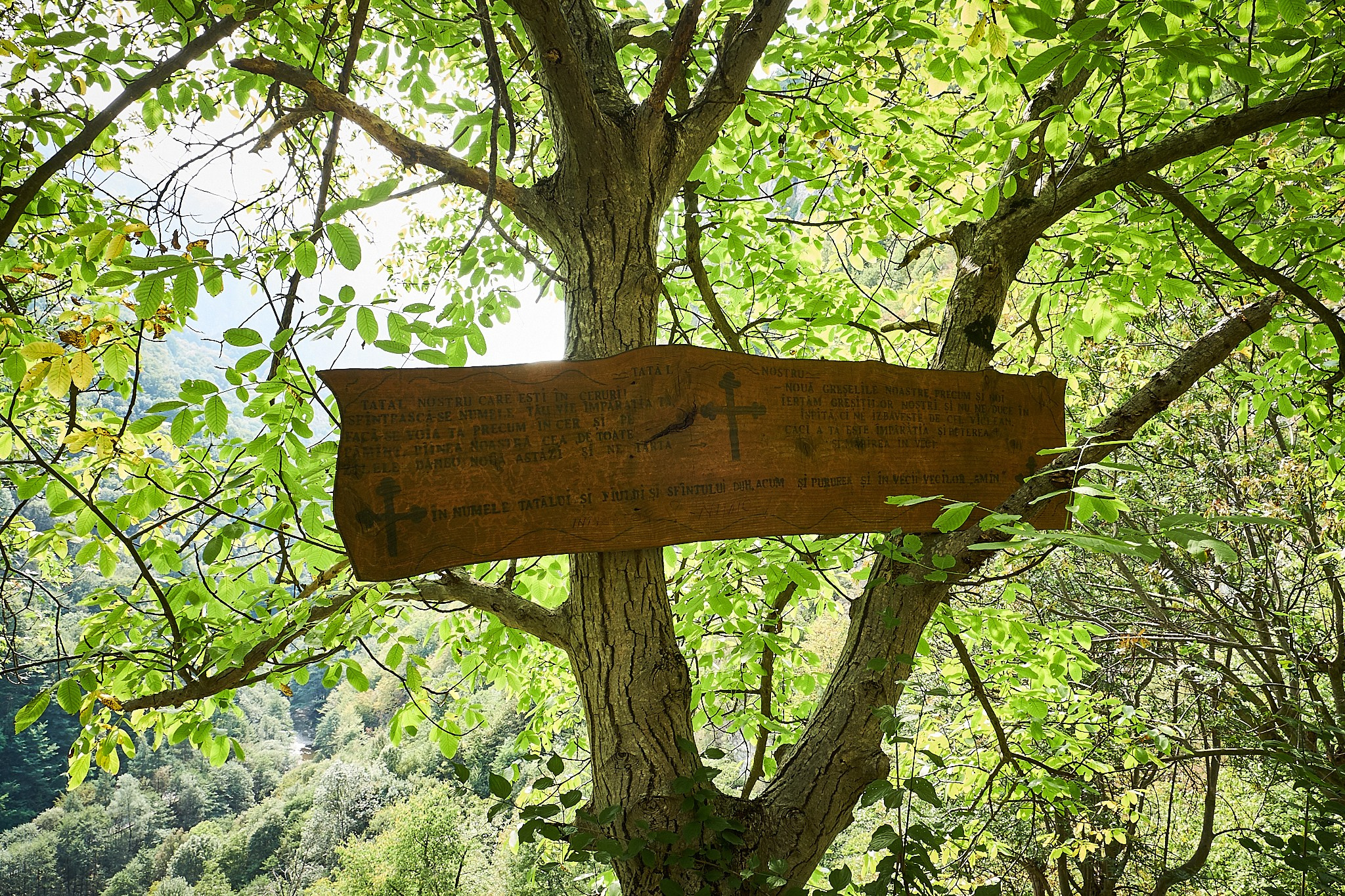 Ineleț, jud. Caraș-Severin. Pagina principală