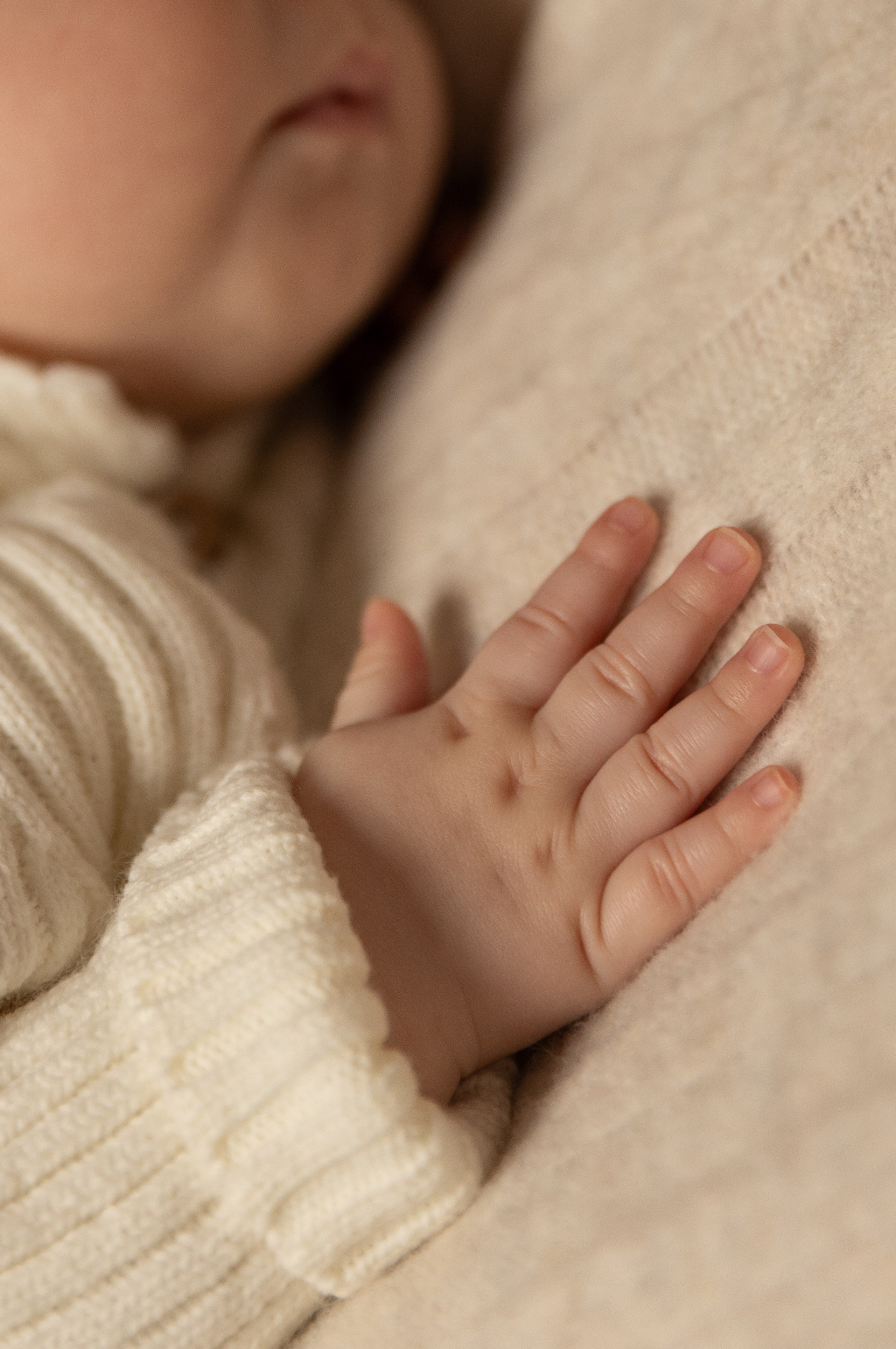 Newborn. Family and Wedding photographer