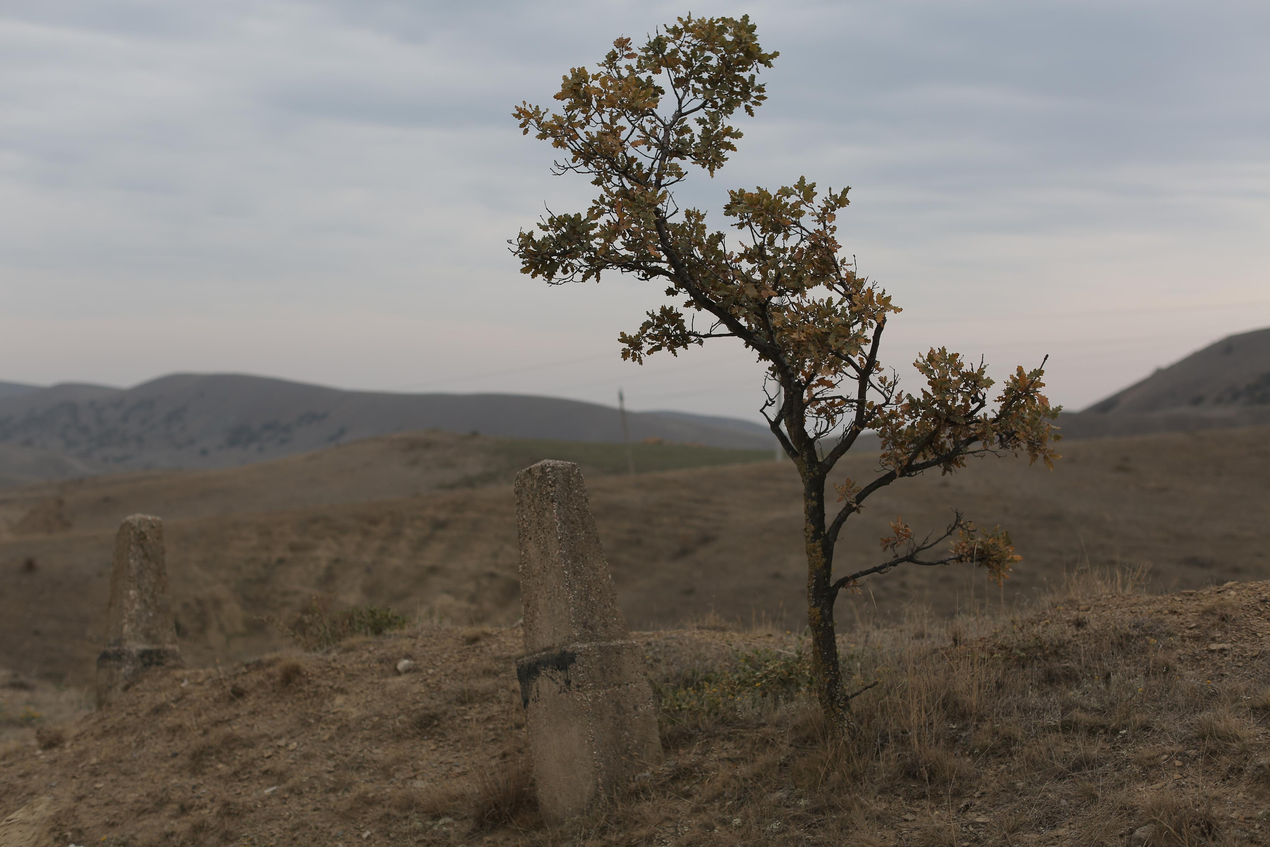 The Book of changes. Документальный фотограф, междисциплинарный художник
