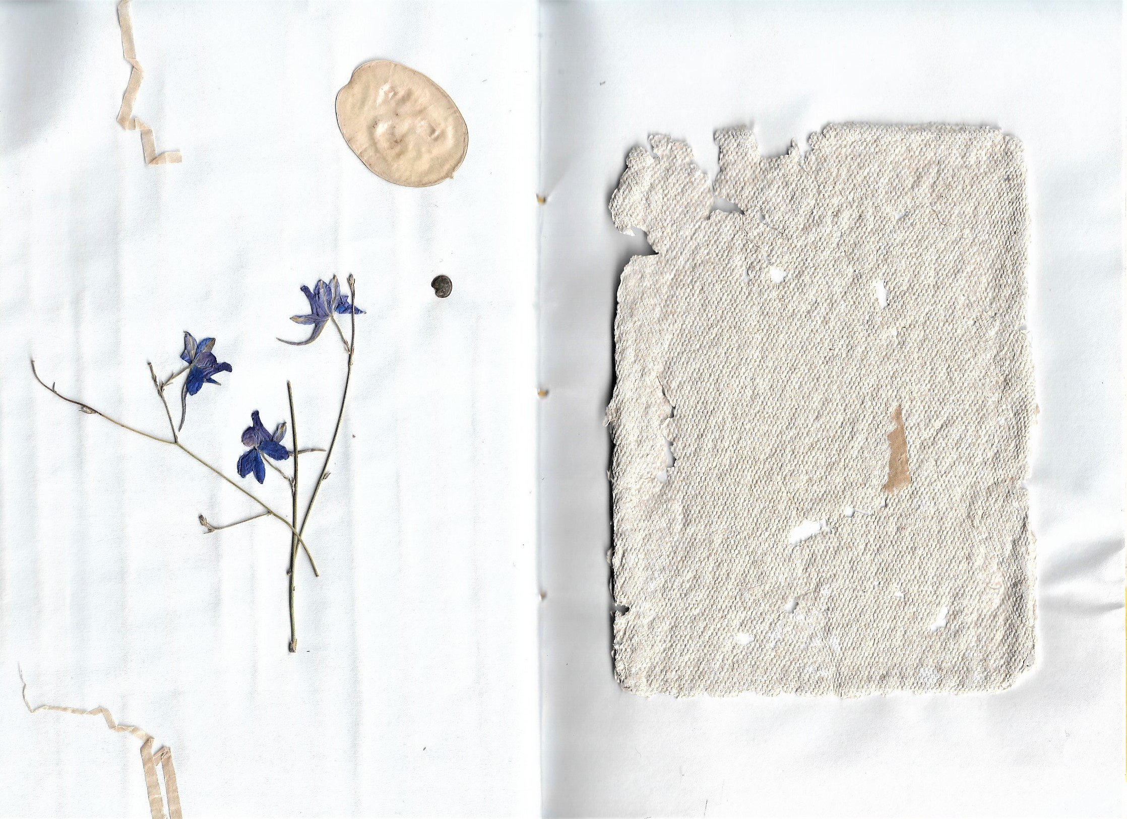 The Book of changes. Документальный фотограф, междисциплинарный художник