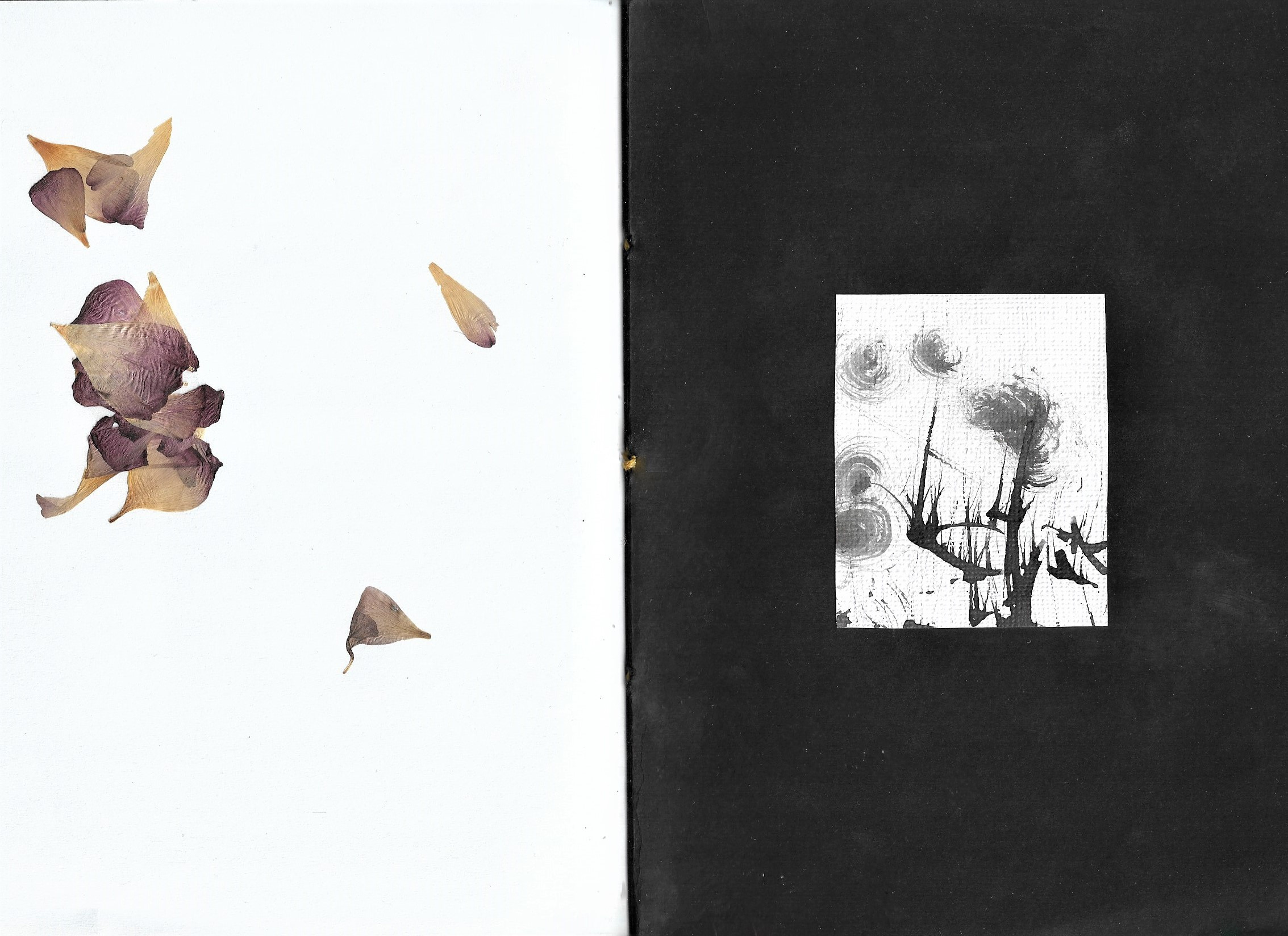 The Book of changes. Документальный фотограф, междисциплинарный художник