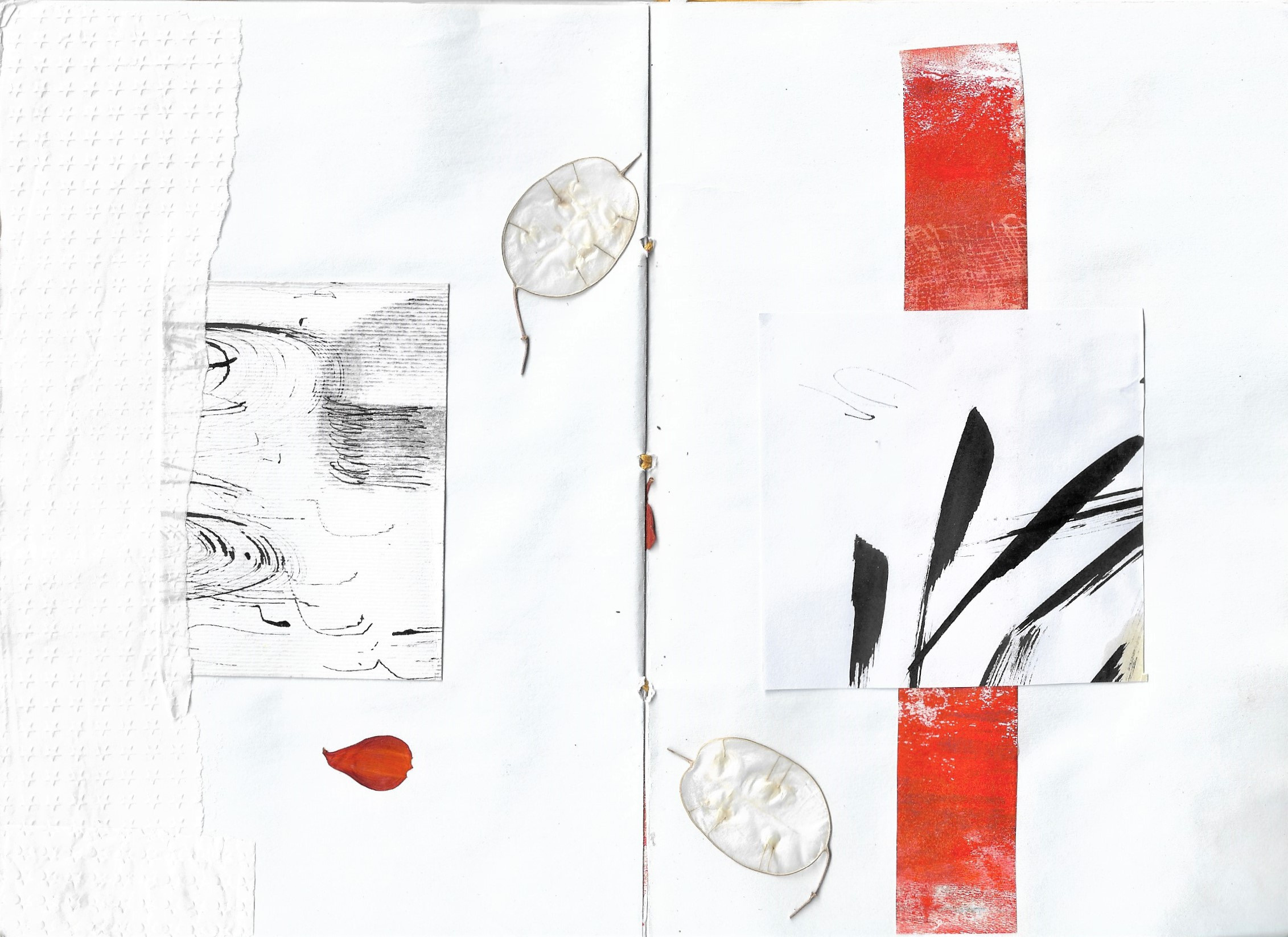 The Book of changes. Документальный фотограф, междисциплинарный художник