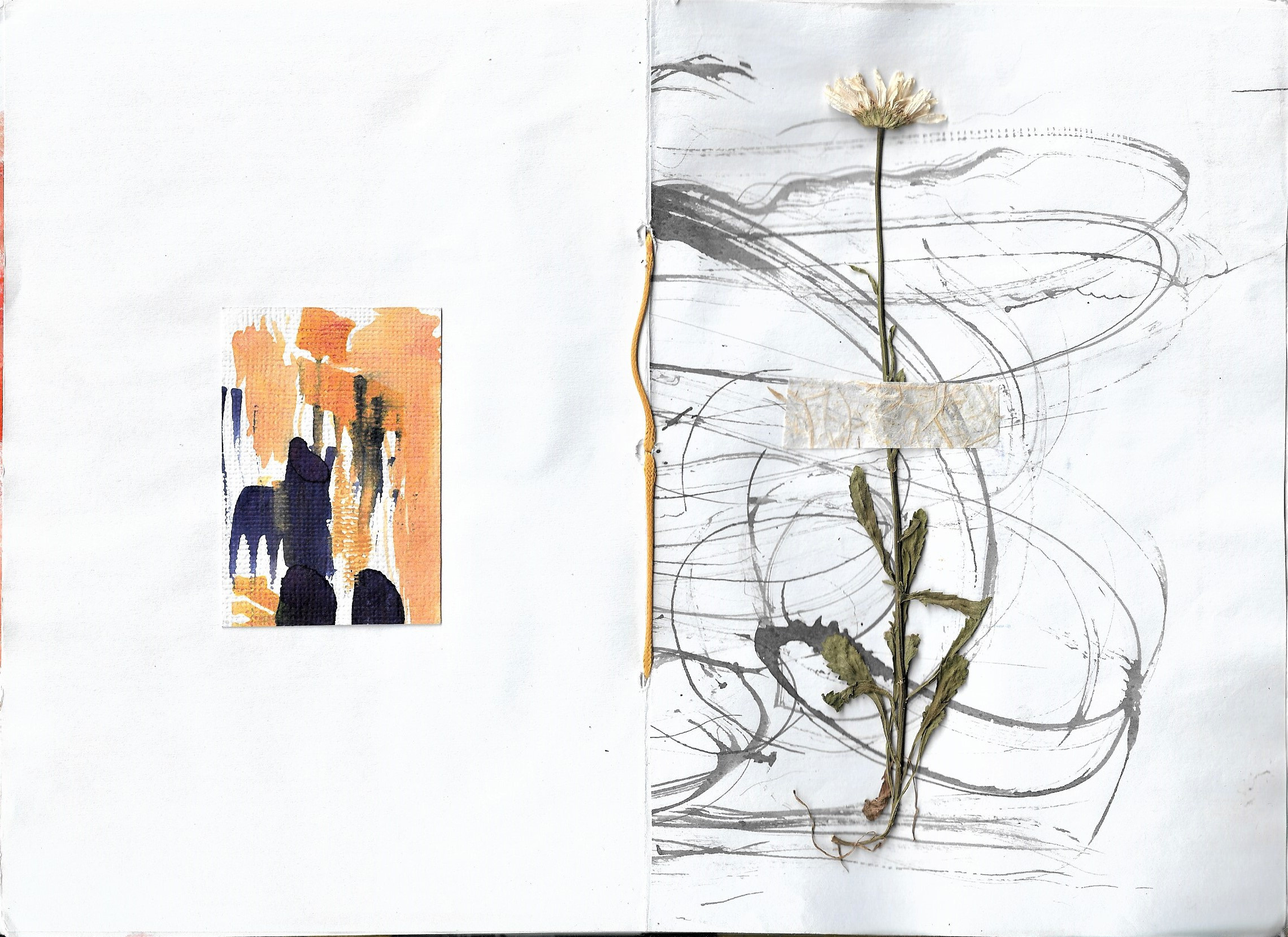 The Book of changes. Документальный фотограф, междисциплинарный художник