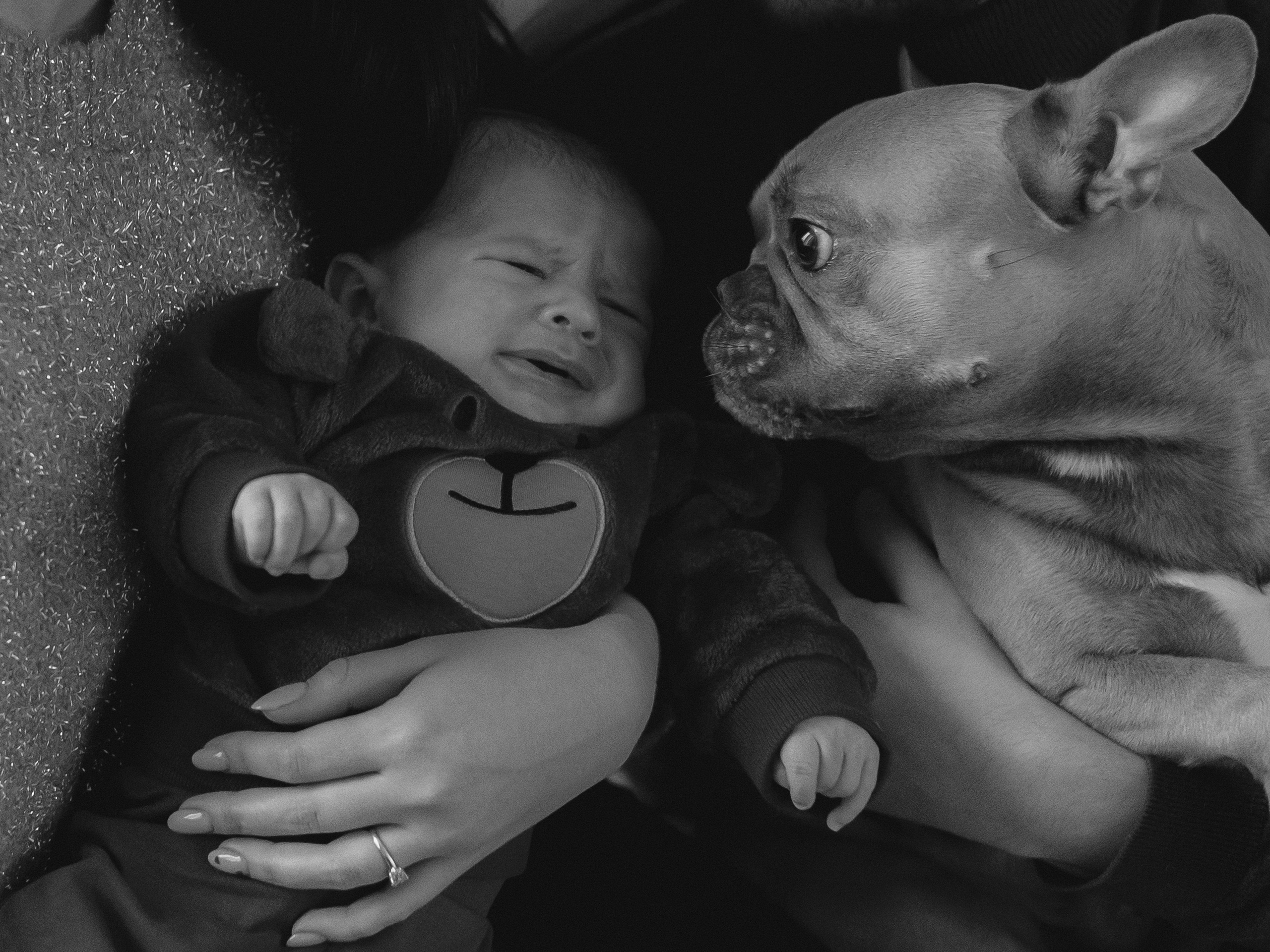 Ингрид, Евгений, Андрей и Джани. Семейный фотограф в Таллинне Дарья Кивимейстер