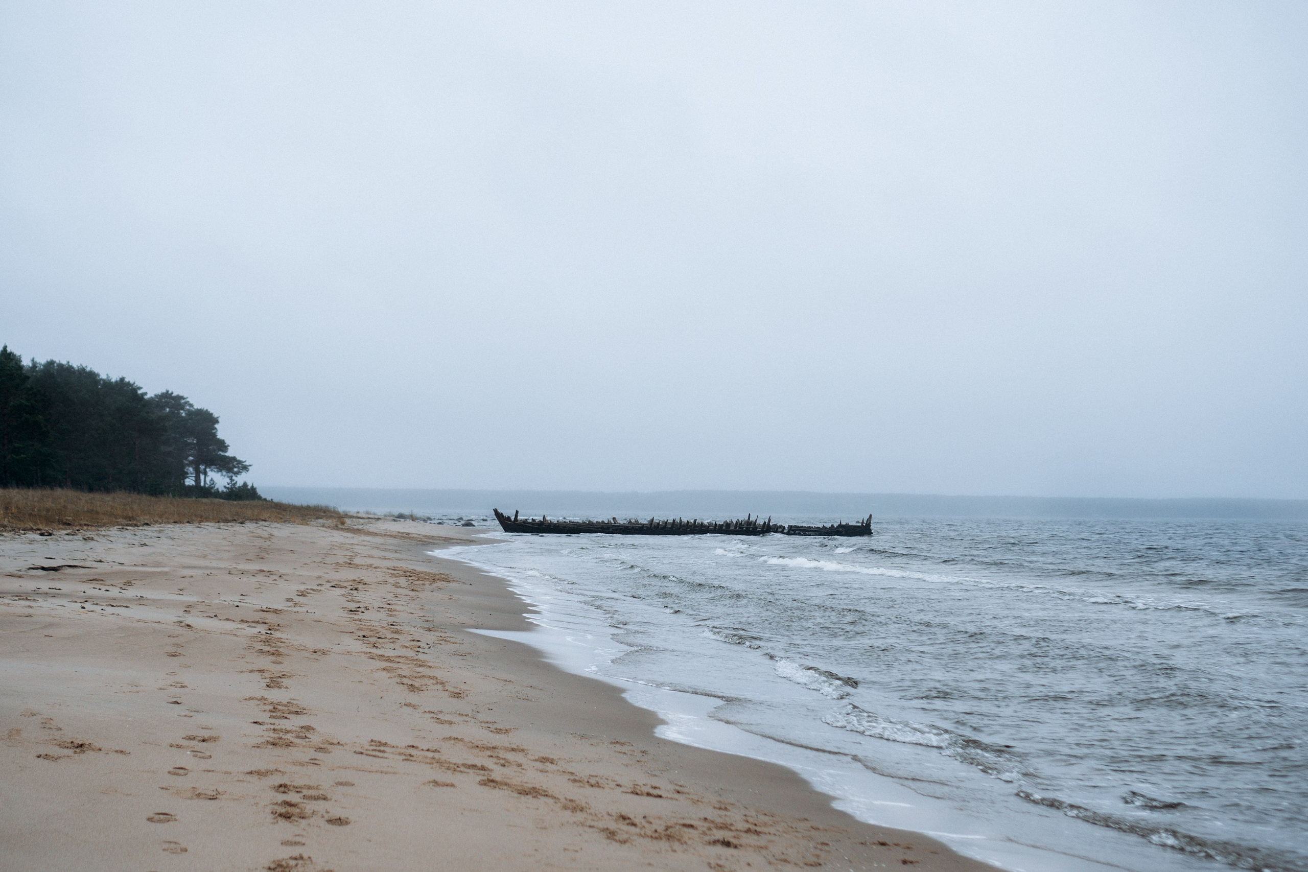 Polina and her Dakota, Australian Cattle Dog. Kat Laisaar — Pet photographer in Tallinn