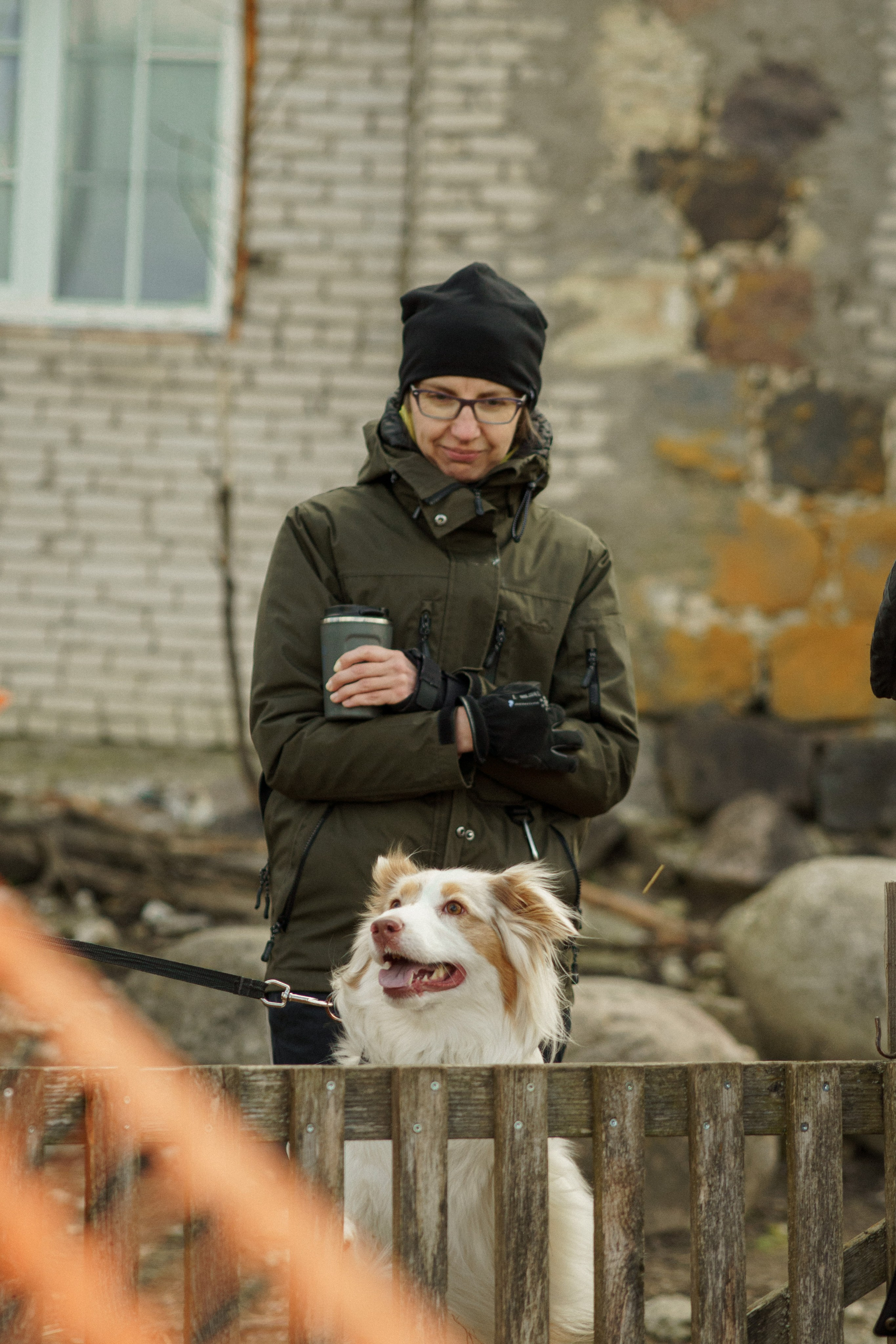 Herding Days, 26 apr. 2025. Kat Laisaar — Pet photographer in Tallinn