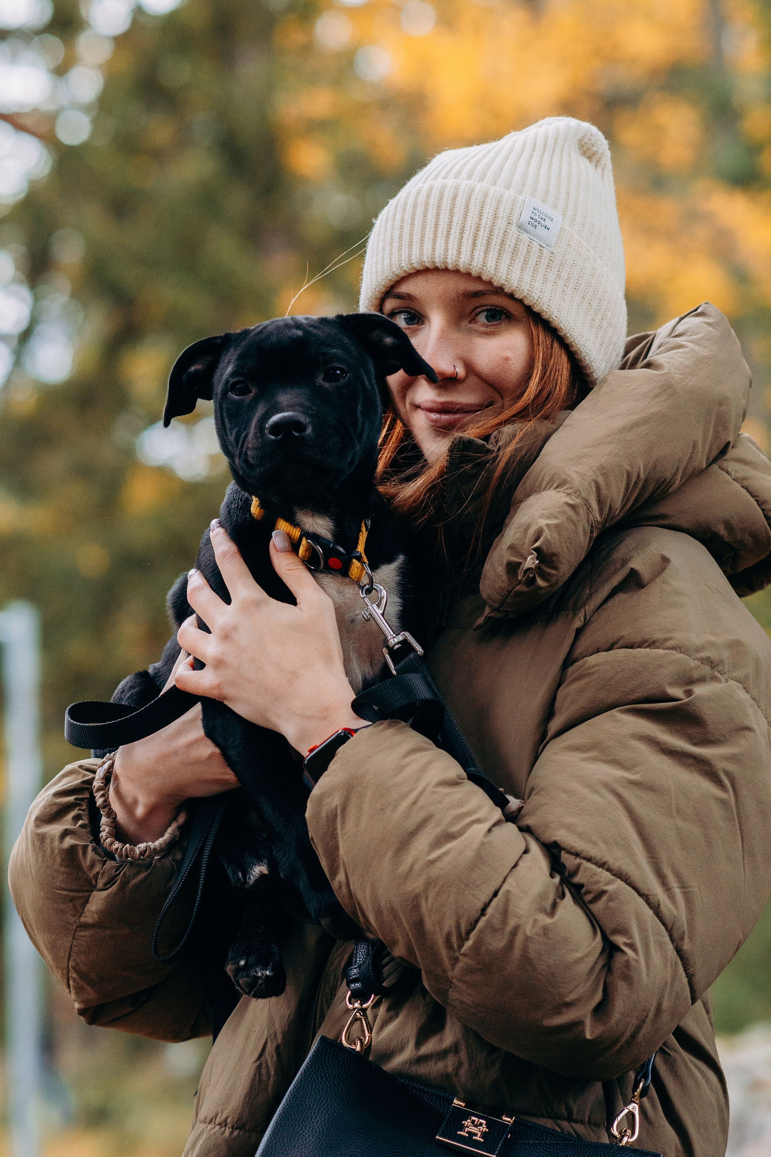 Staffordshire Bull Terriers Meetup. Kat Laisaar — Pet photographer in Tallinn