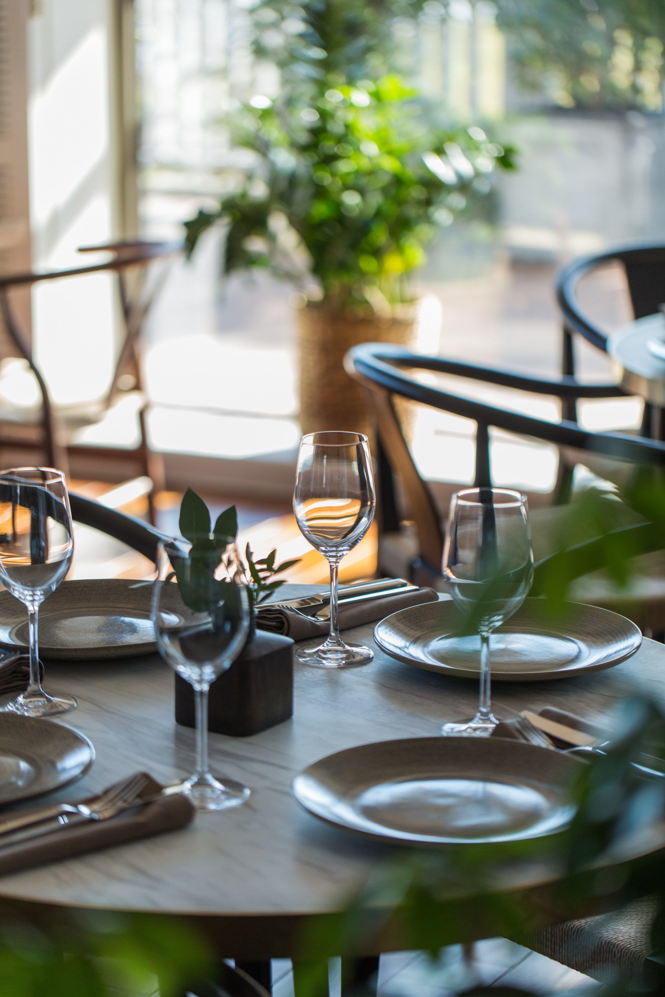 CHAYKI Restaurant. Коммерческий фотограф в Азербайджане Бессонова Анфиса