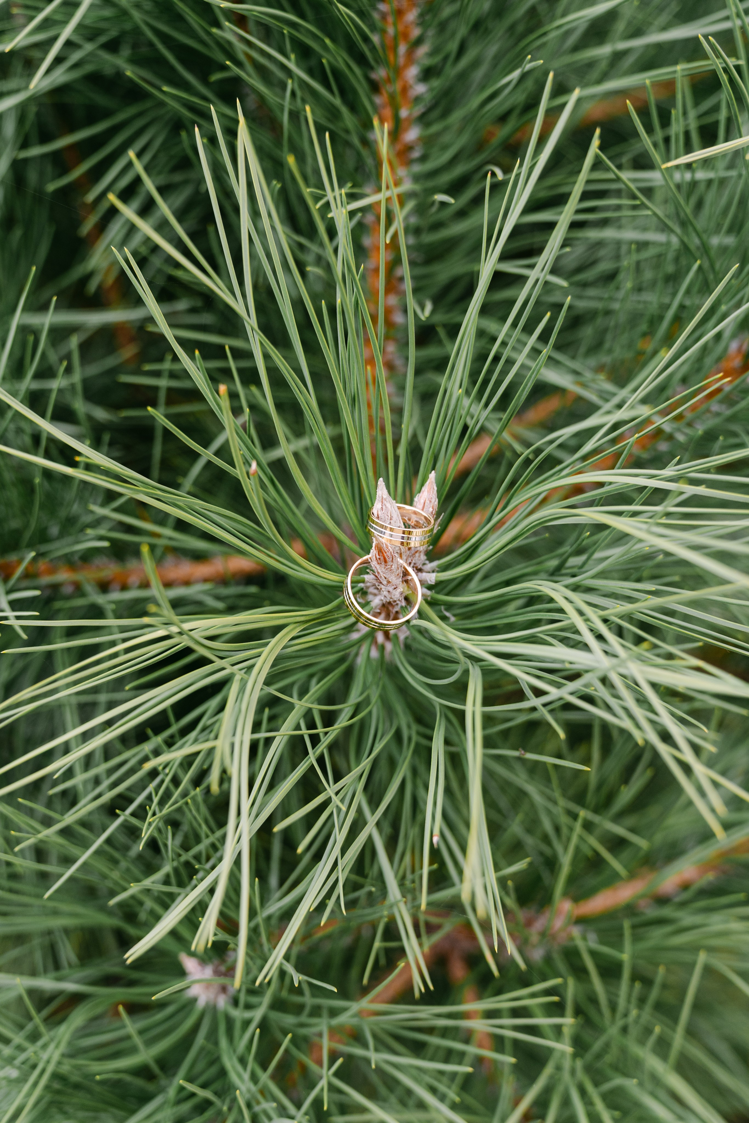 Denisa | Andrei. Gabrielacojocariu.com