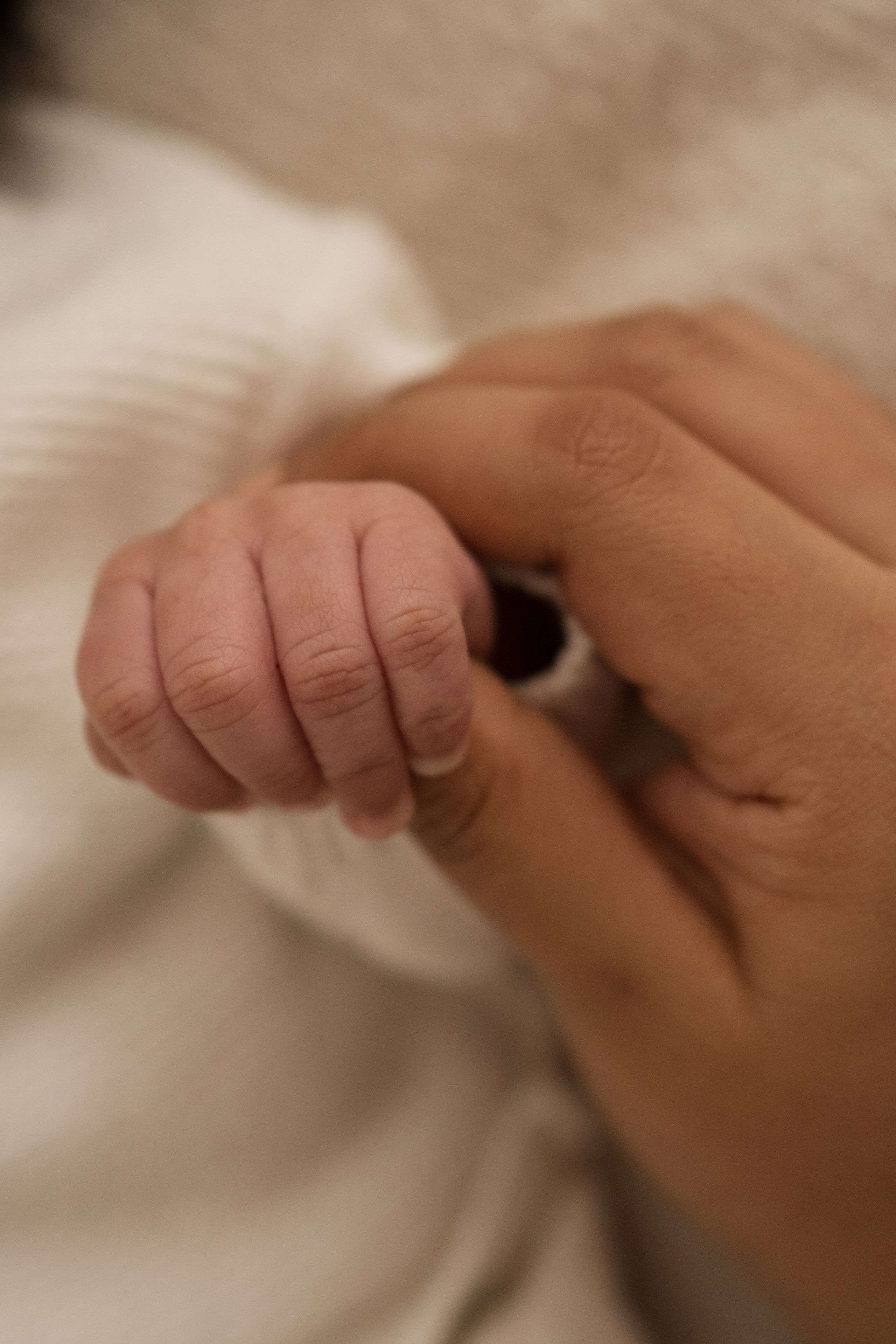 First moments of love. Angela Iakovleva — Family Photographer in Dubai