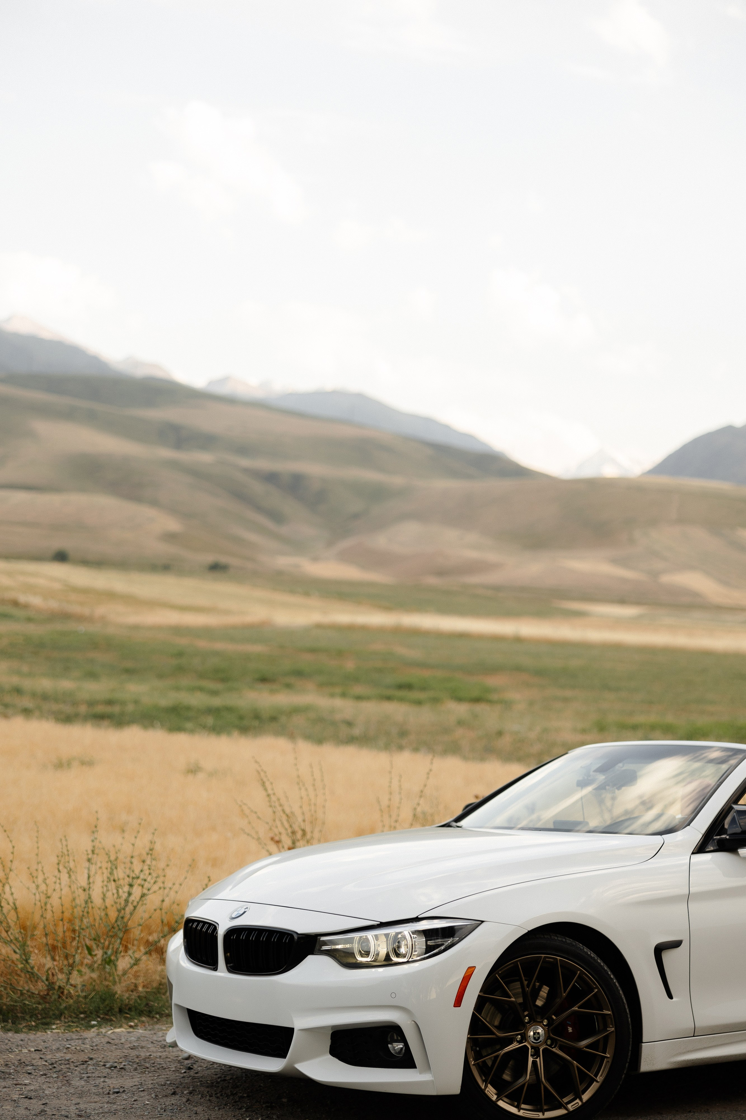 Максат и Самара. Азимжан Нуритдинходжаев — свадебный фотограф