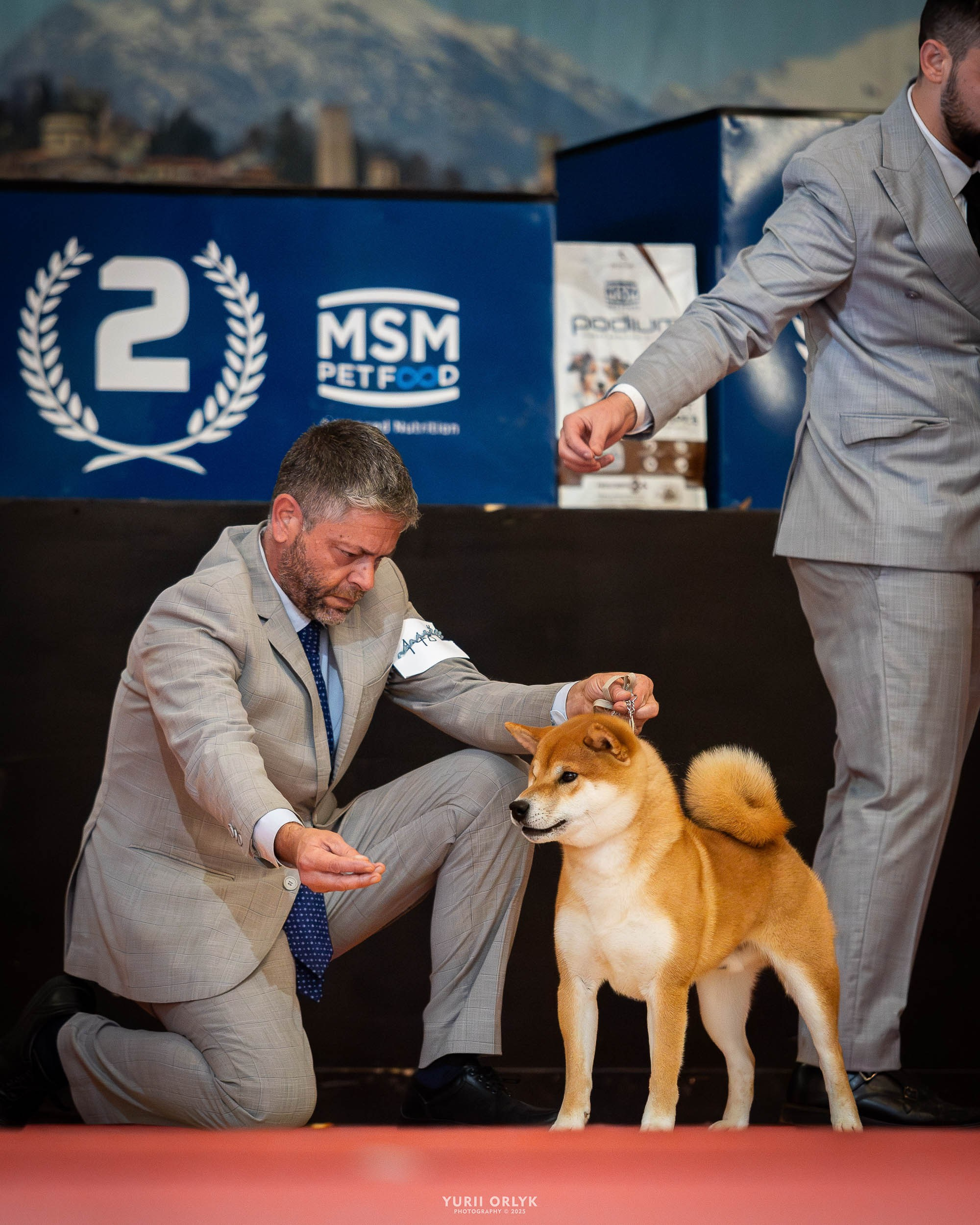 Dog Shows. Yurii Orlyk Photography