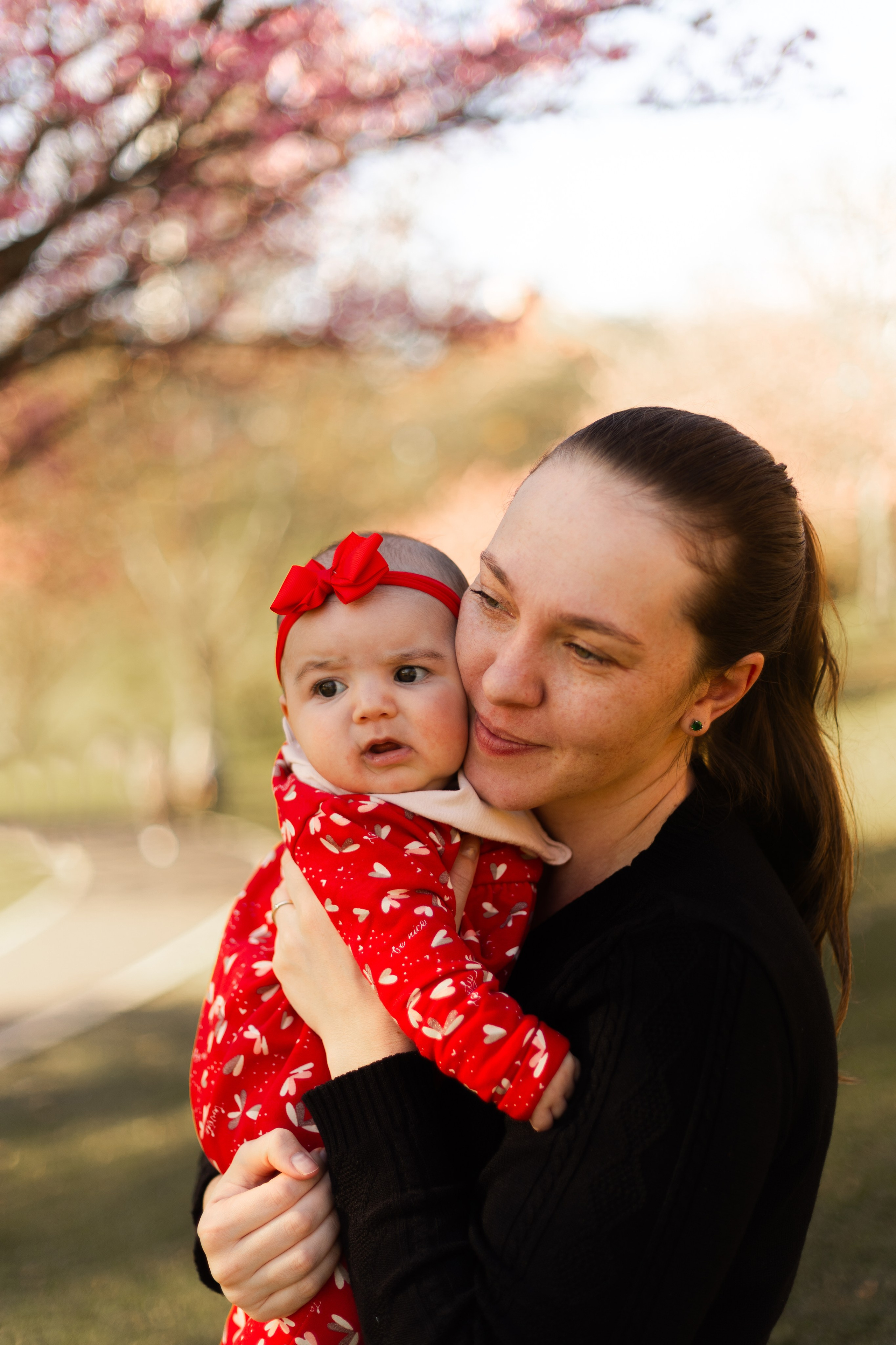Minha familia nas cerejeiras