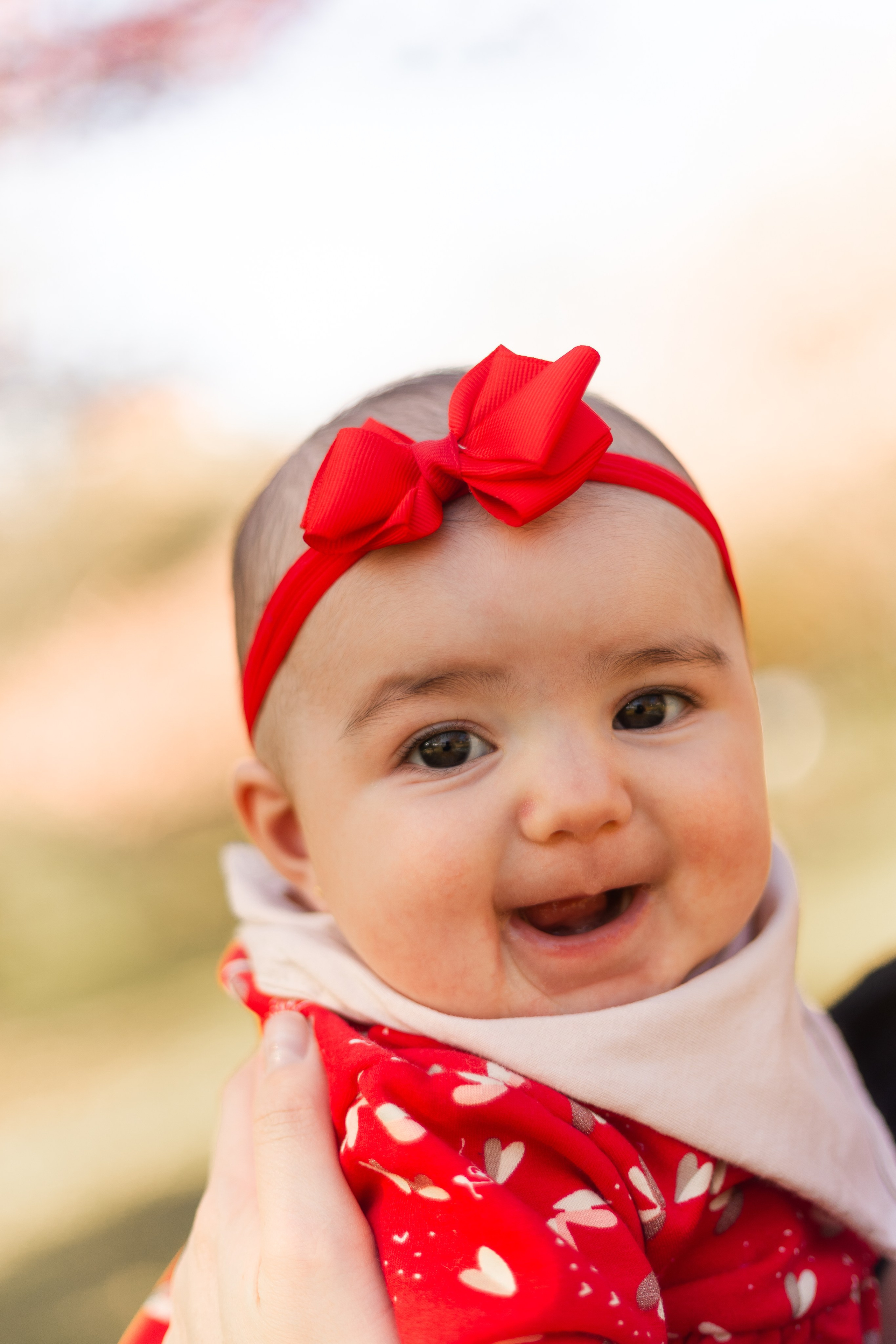 Minha familia nas cerejeiras