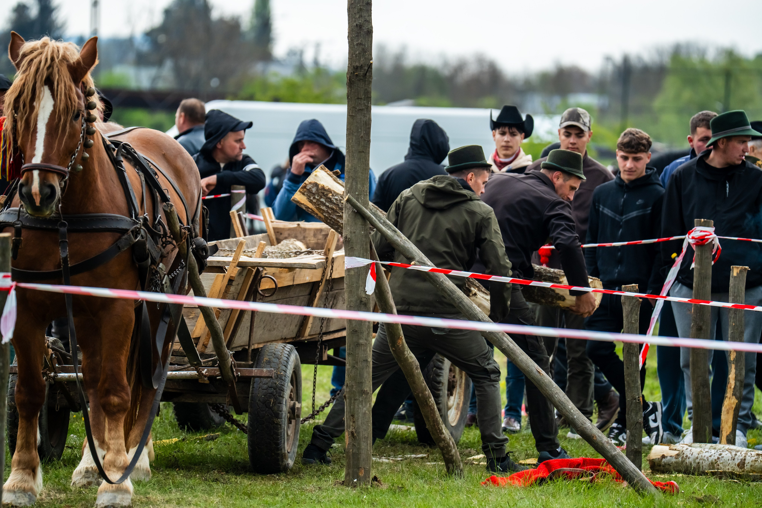 Concurs Ecvestru Vărbilău ediția a 4-a. Mihai Alexandra Events