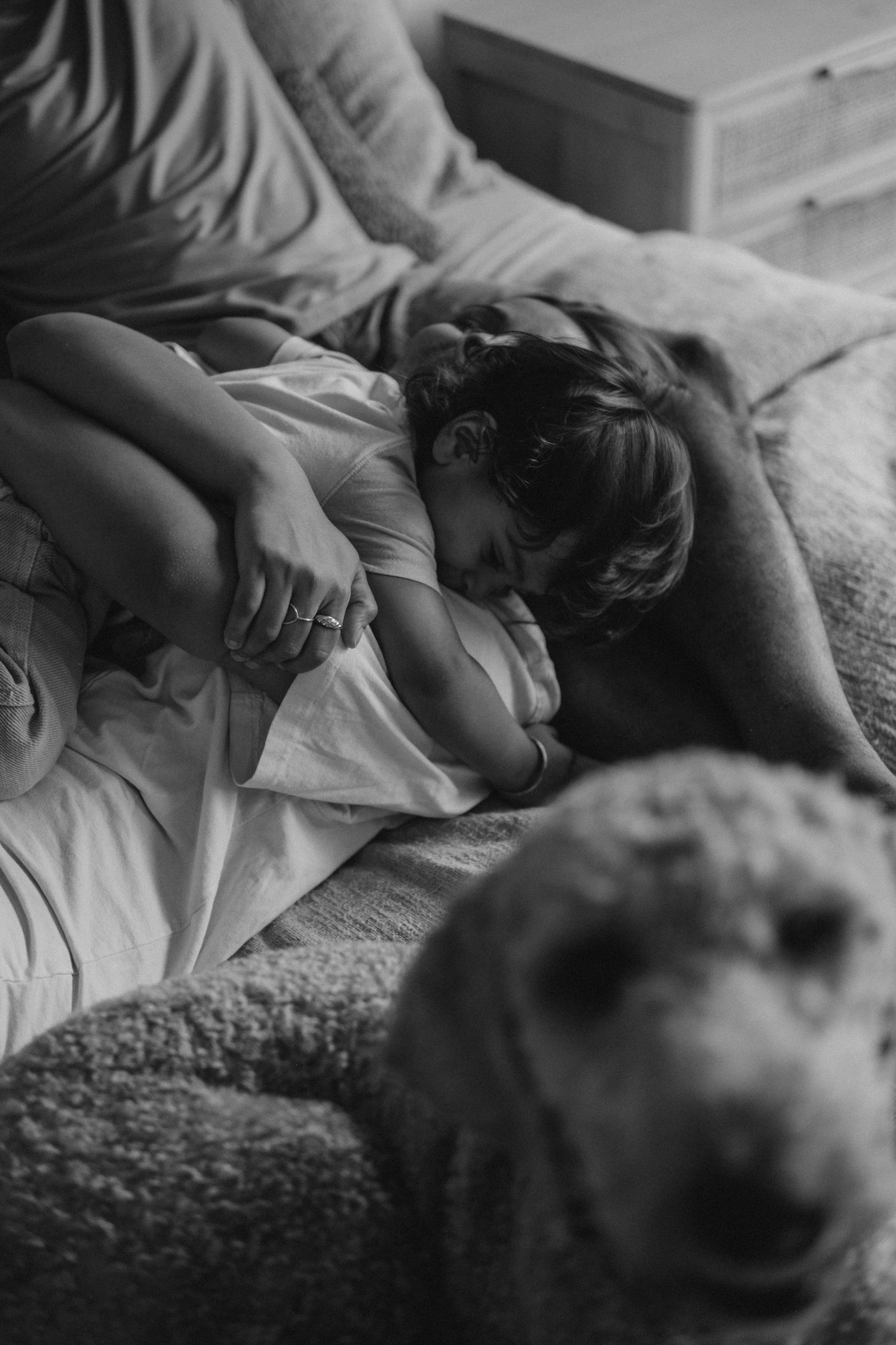 Home Story. Lens Captures Life