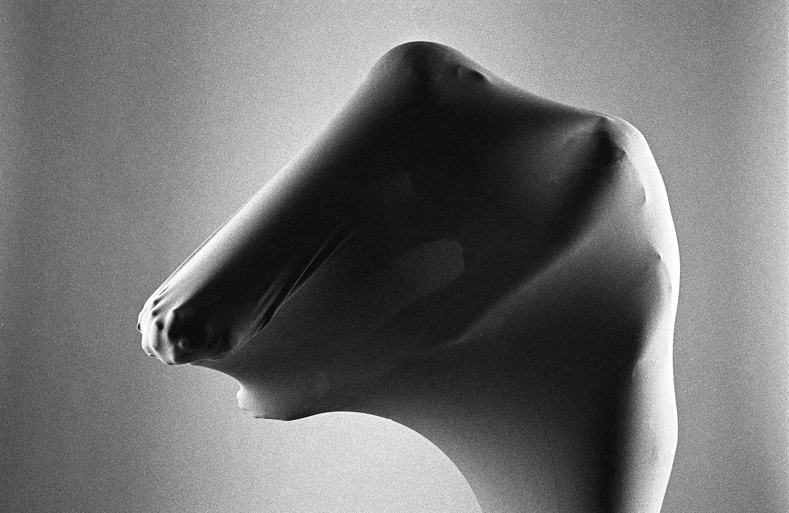 Hug is a cure. Artist, photographer, graphic designer, dreamer