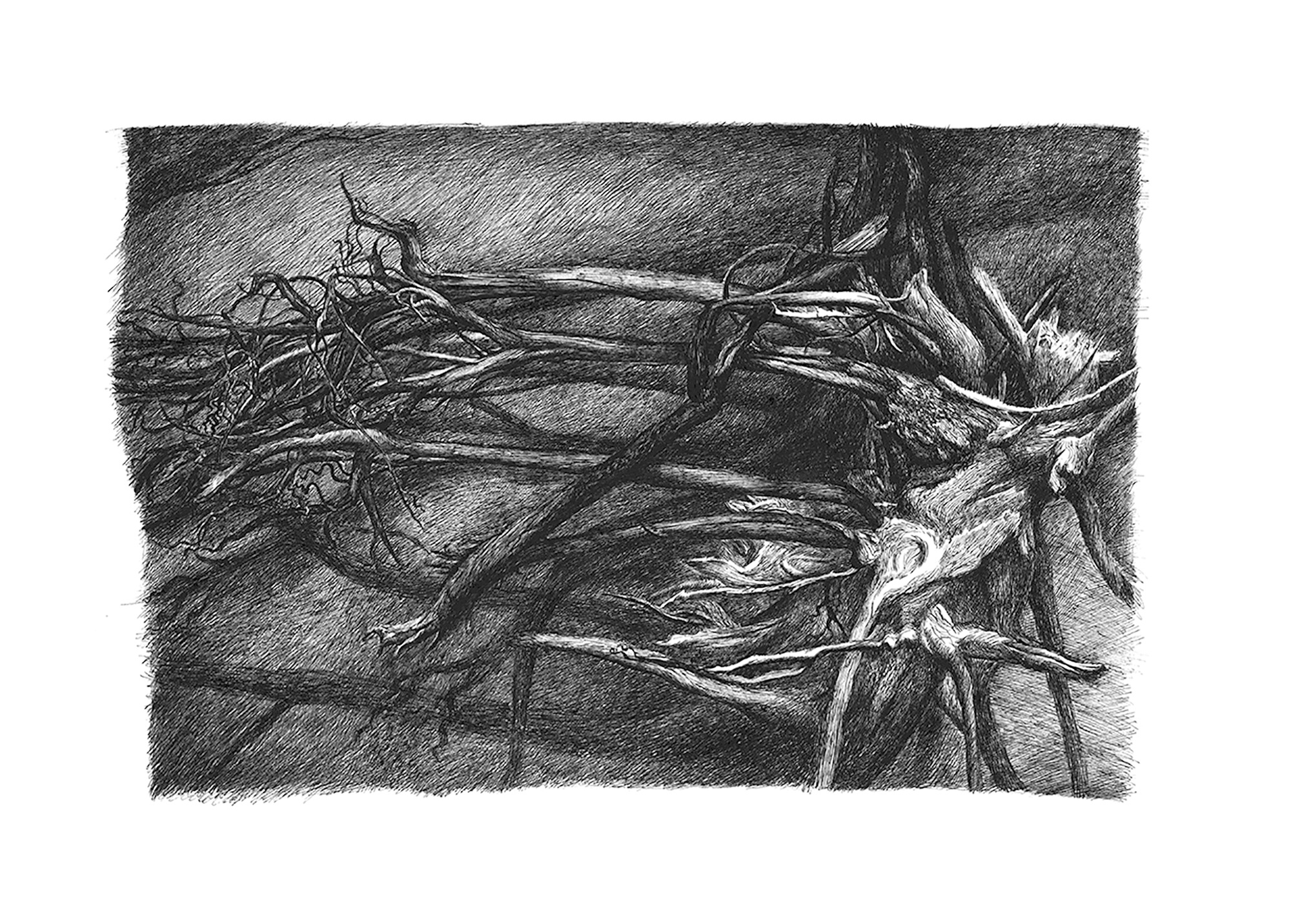 Pen. 42 х 29, 1/1, 2016