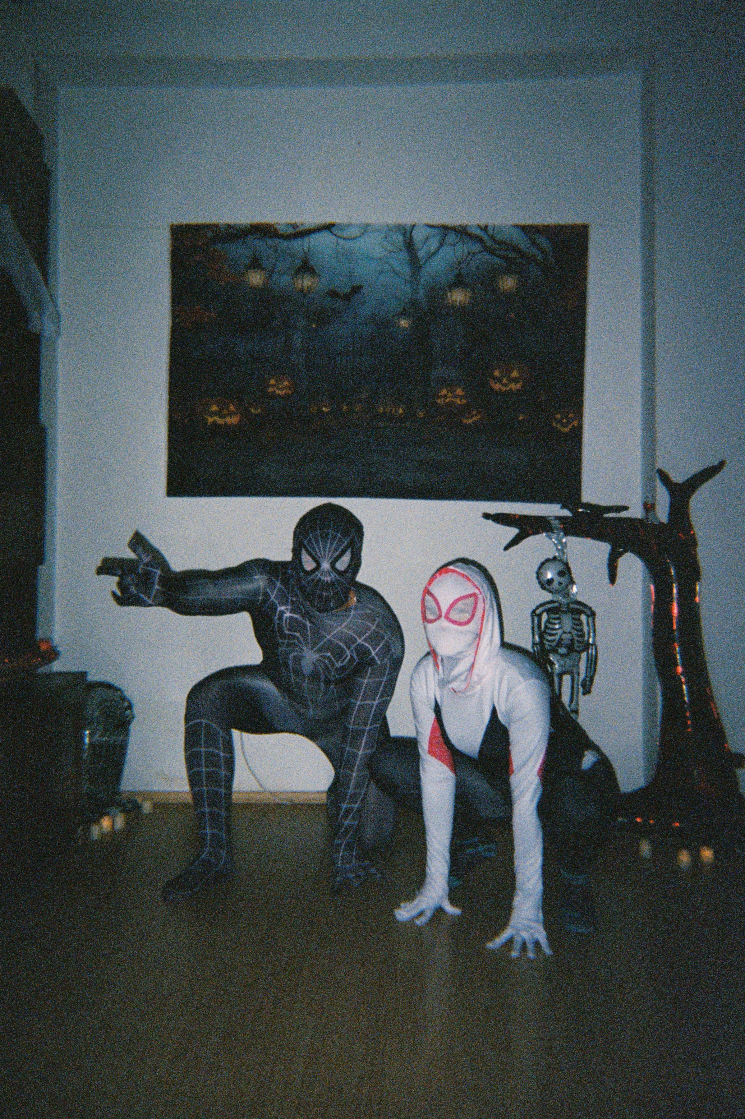 De la party-uri și festivaluri