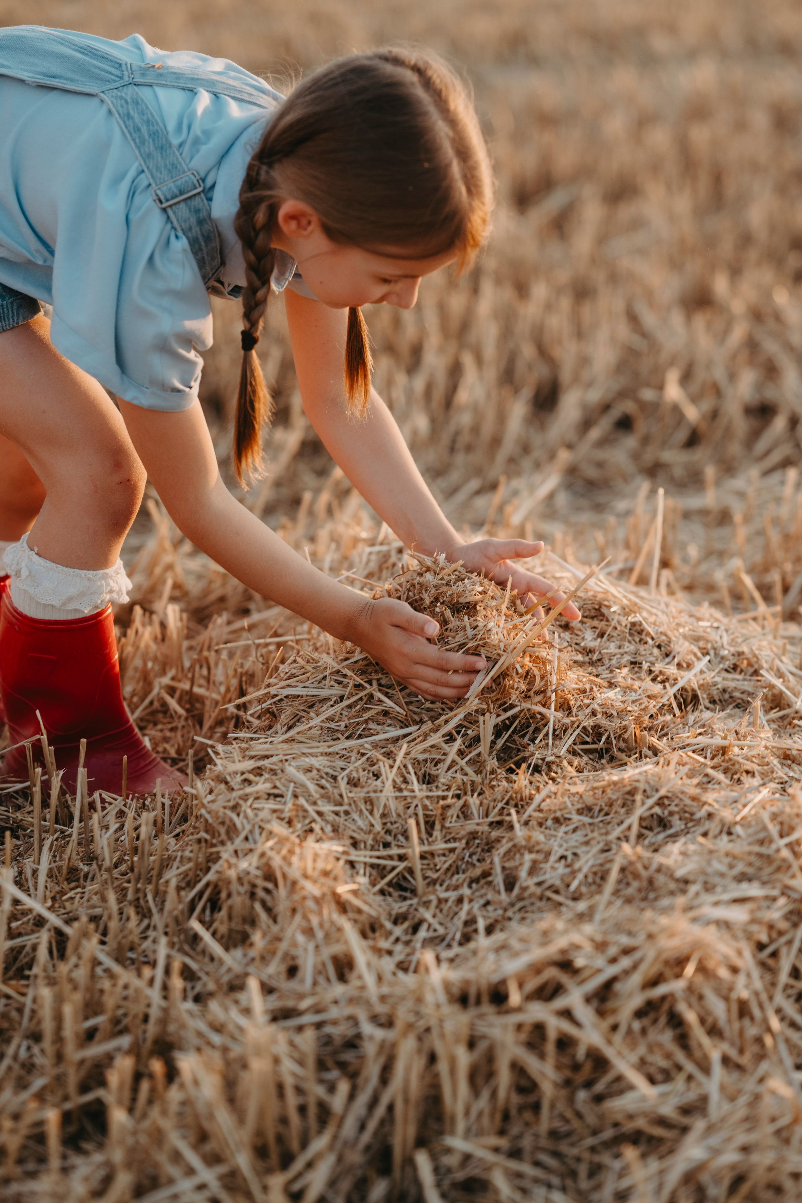 Letnje fotografisanje u polju suncokreta i sena. Deciji i porodicni fotograf u Beogradu Oksana Skendzic