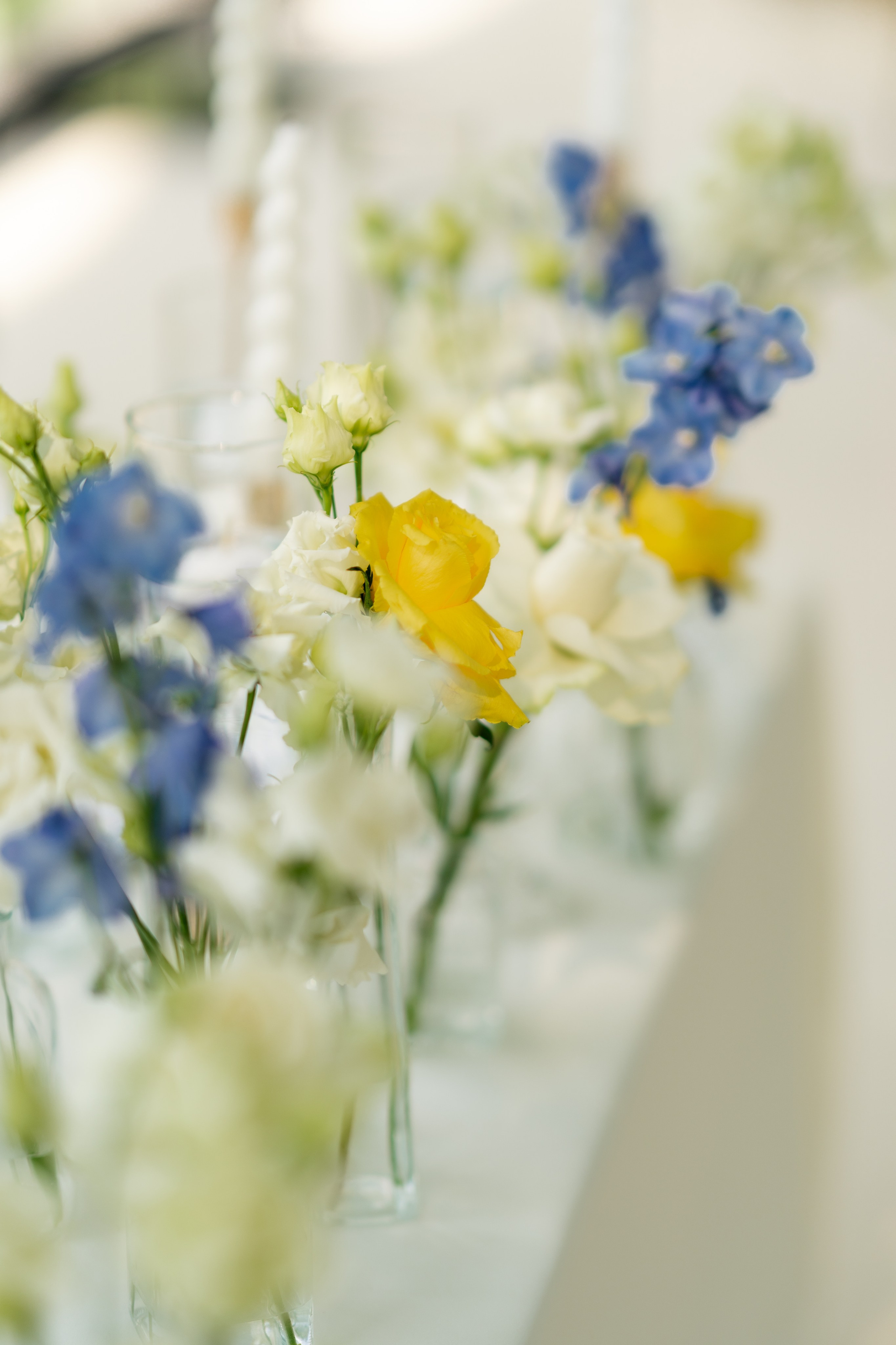 Elly & Andrew. Destination Wedding Photographer Alex Pasarelu