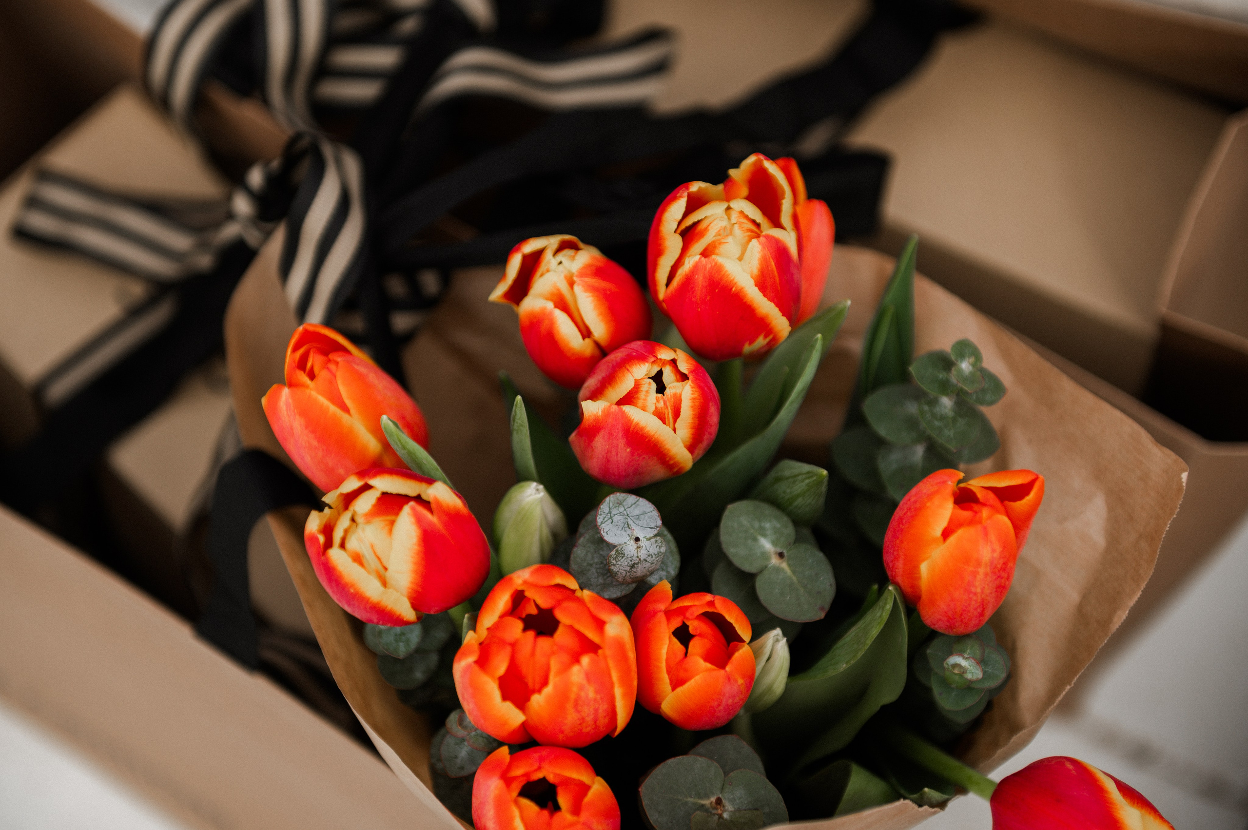 Evento na praia. Sua fotógrafa em Lisboa — Anna Belova