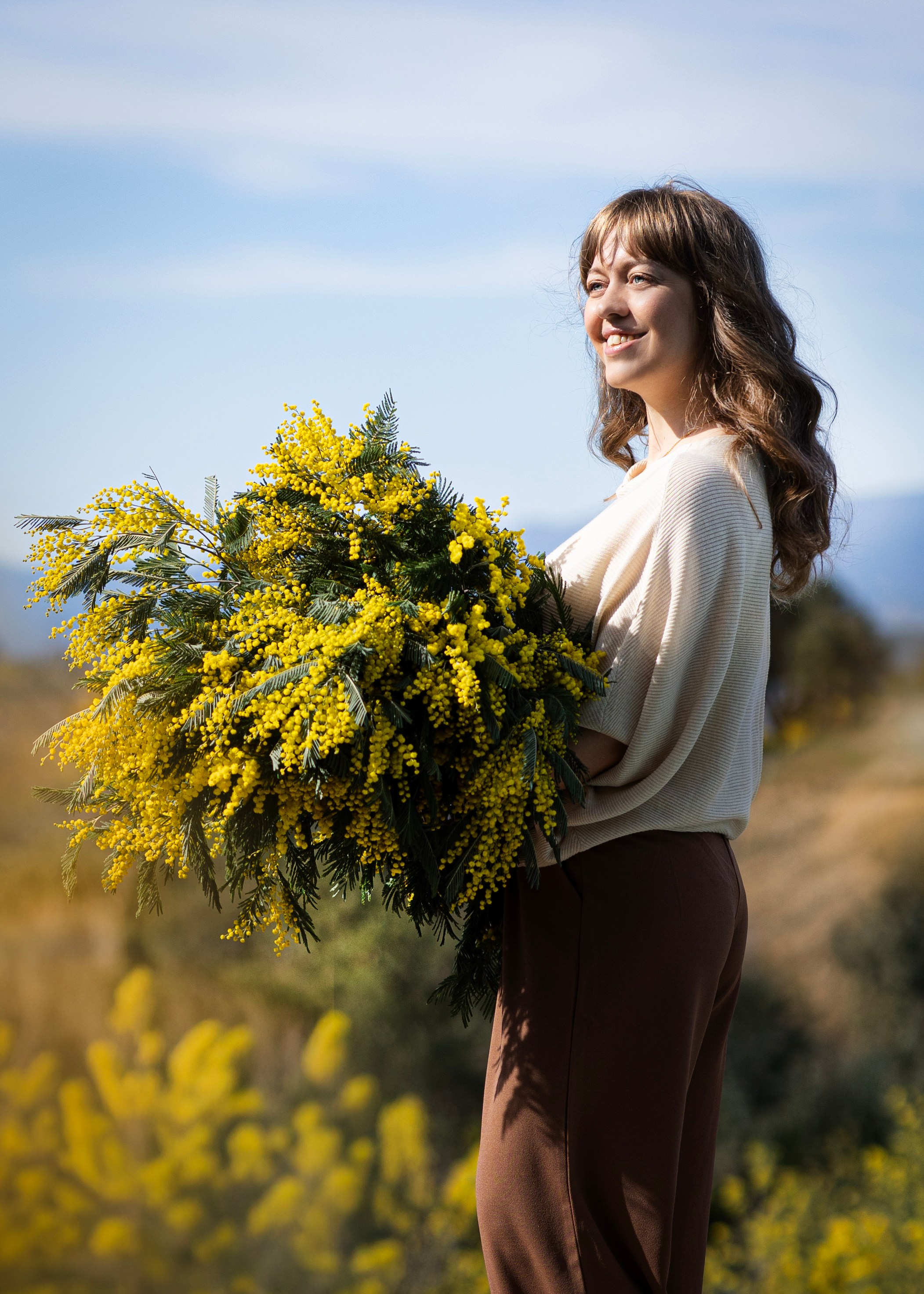 Mimosa. Photographer in Munich