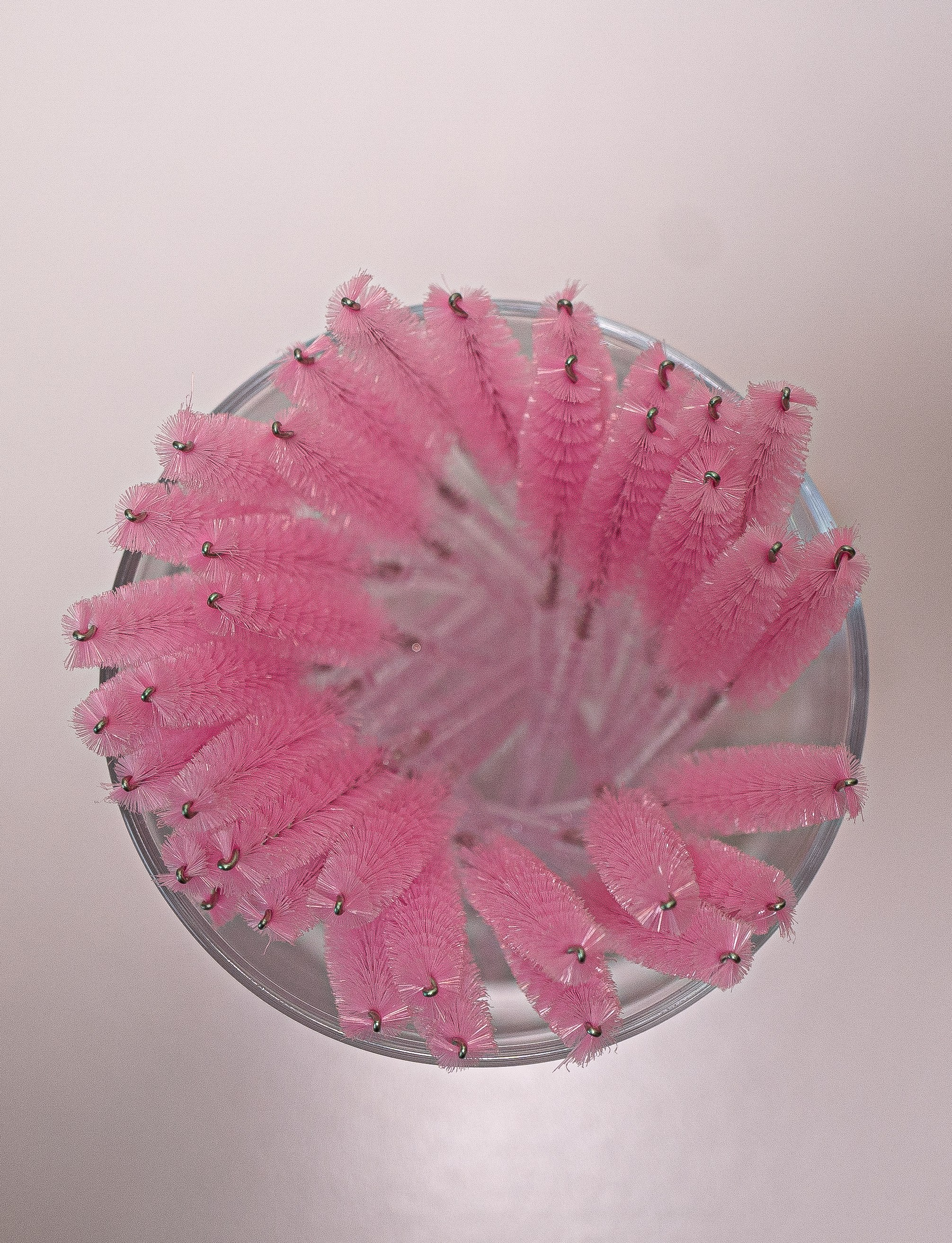 Business portrait. Central Florida The Villages, Lady Lake Photography