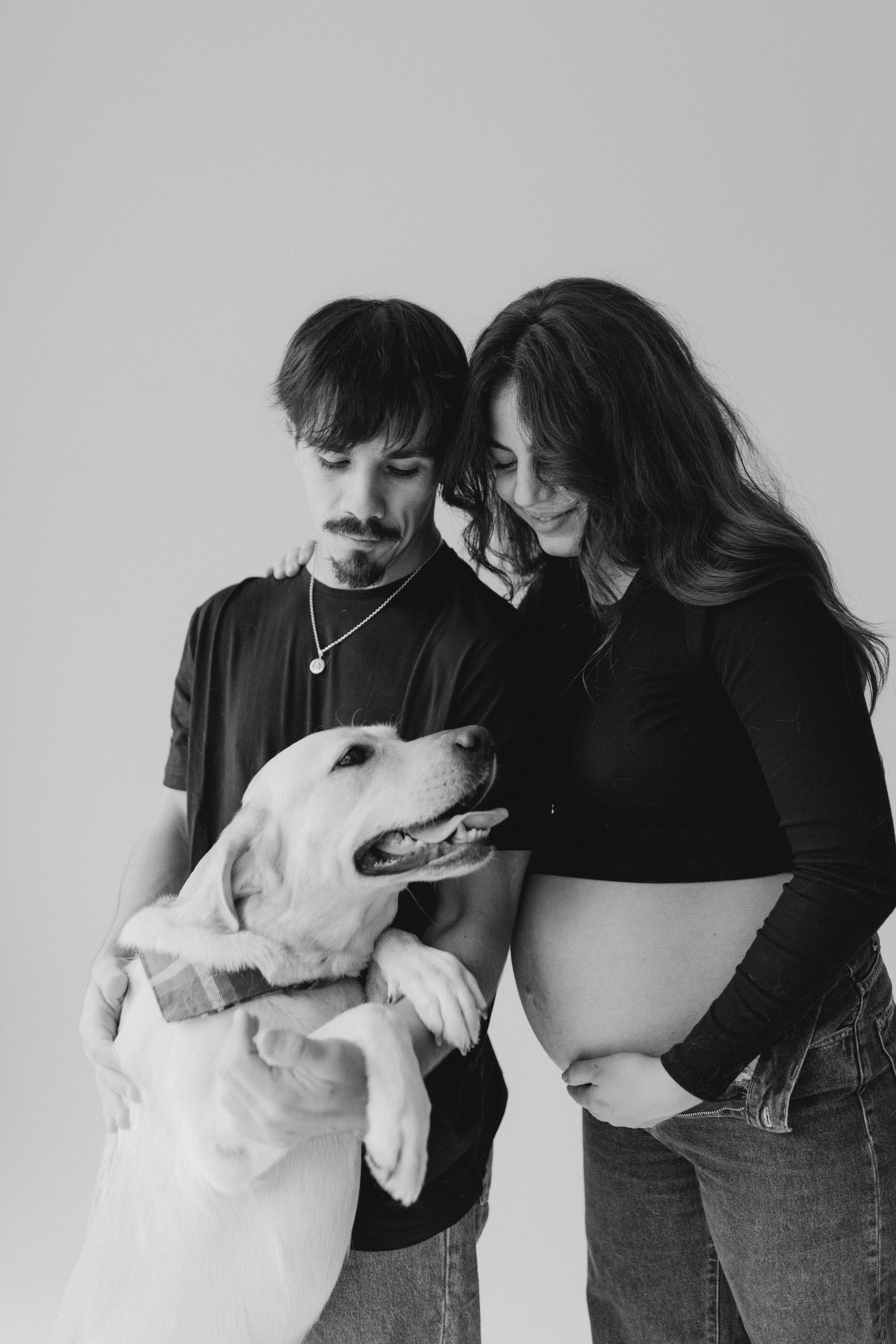 Pregnant Story. Main