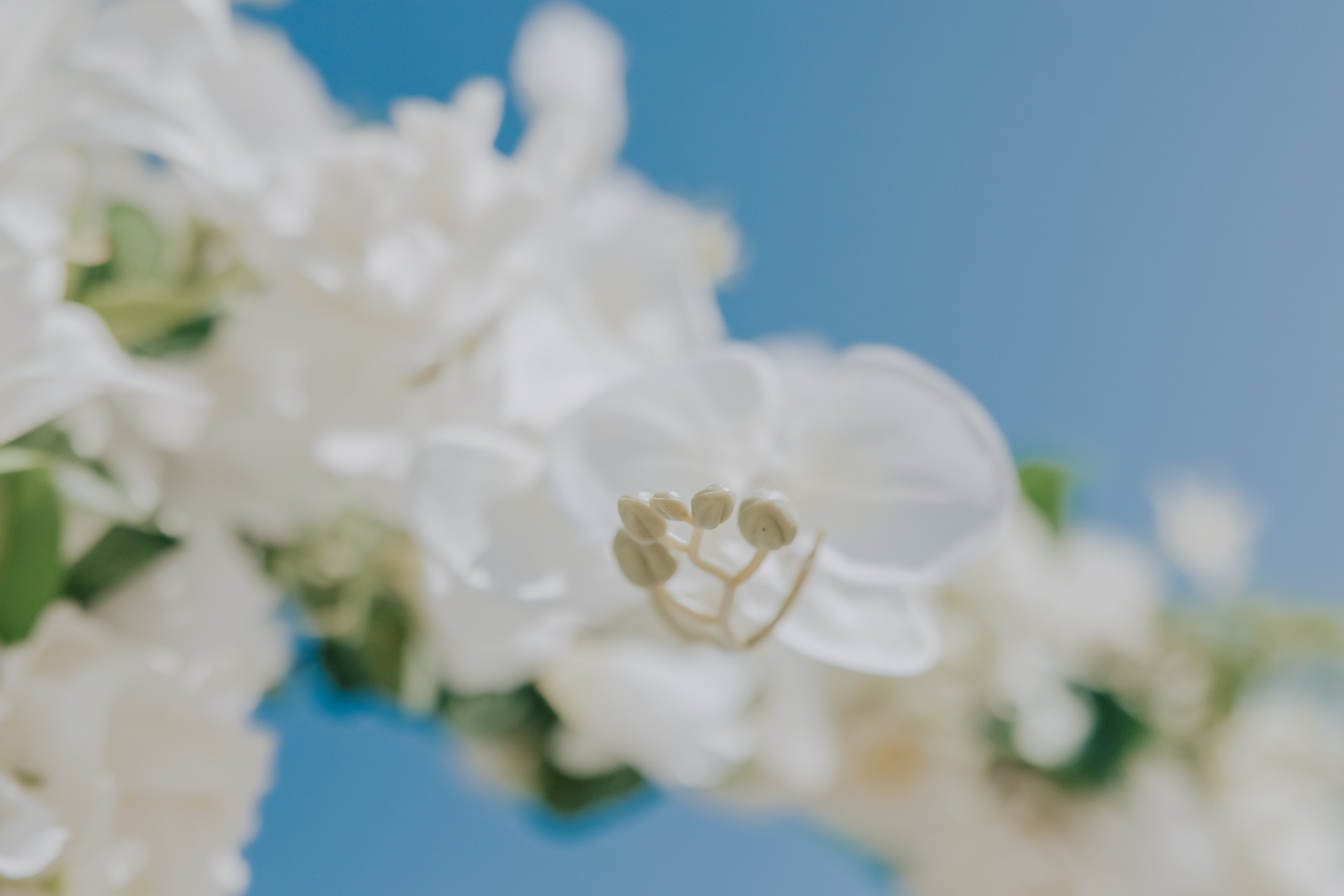 Годеж на плажа. Фотограф Ирина Йотова