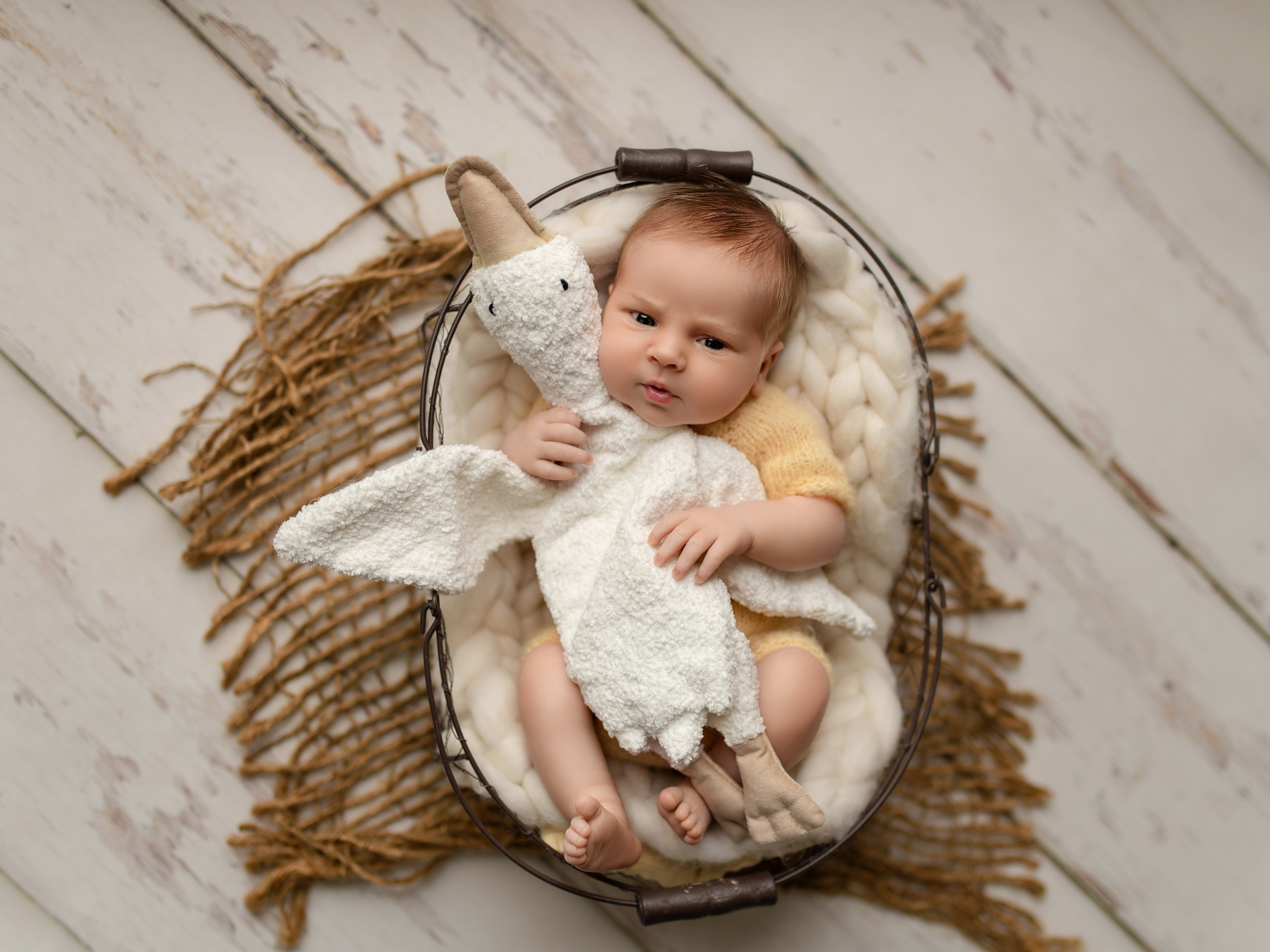 Esu Aleksandra naujagimių ir kudikių fotografė iš Vilniaus