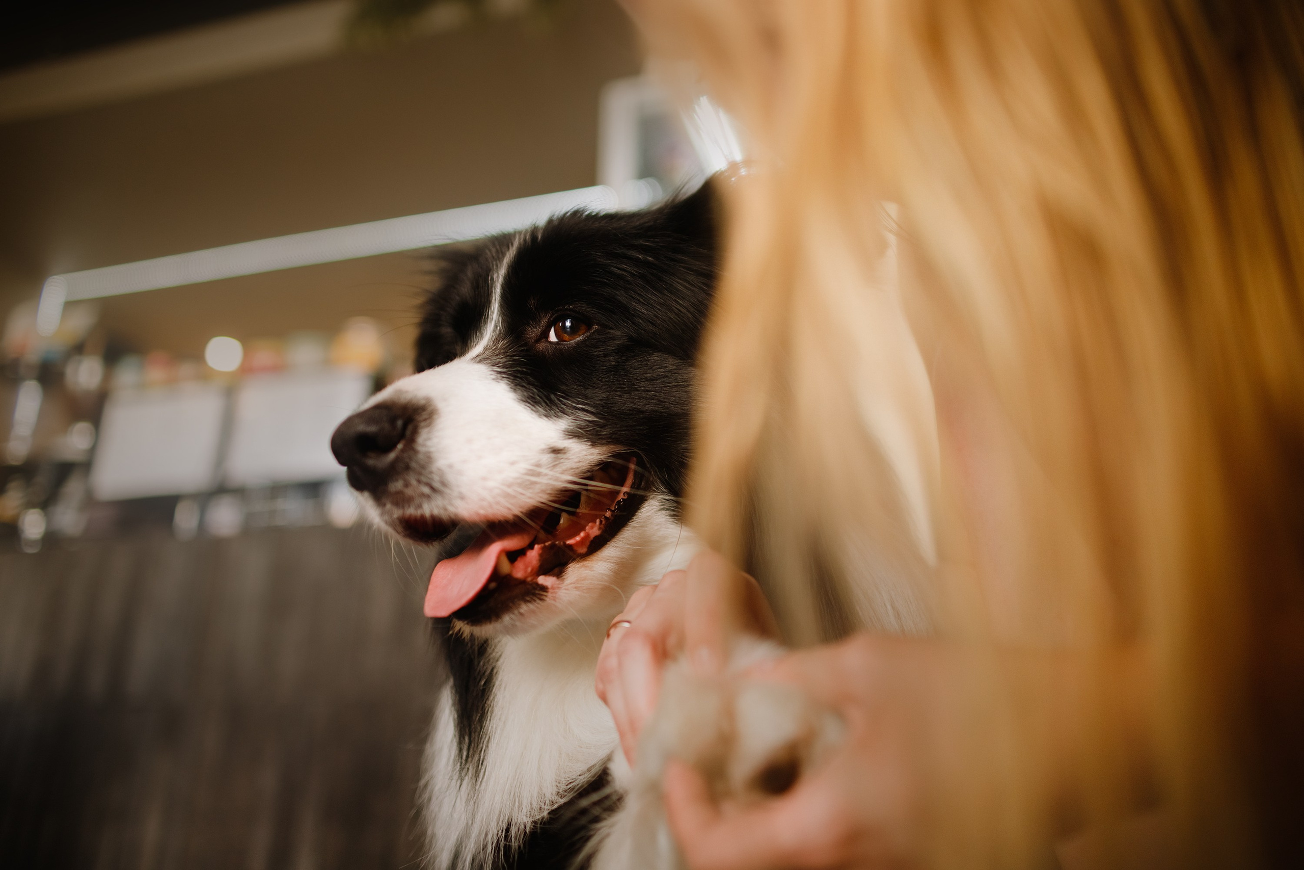 Evgenia & Richard. Kaja | fotograf we Wrocławiu | ludzie i psy