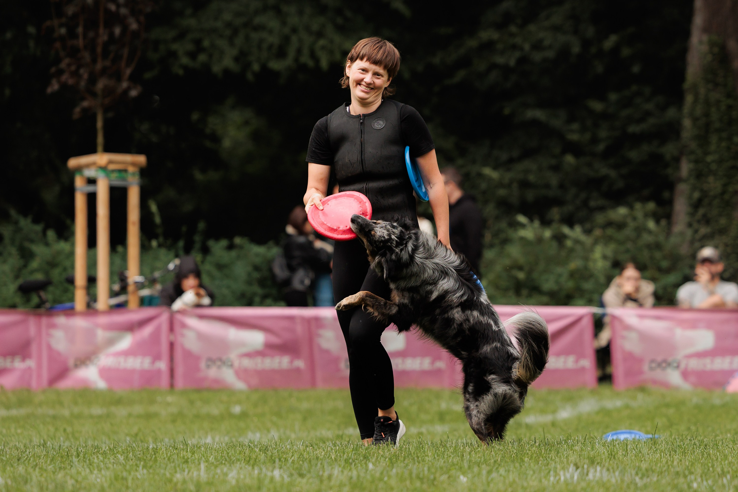 Latające psy, Wrocław'25. Kaja | fotograf psów we Wrocławiu
