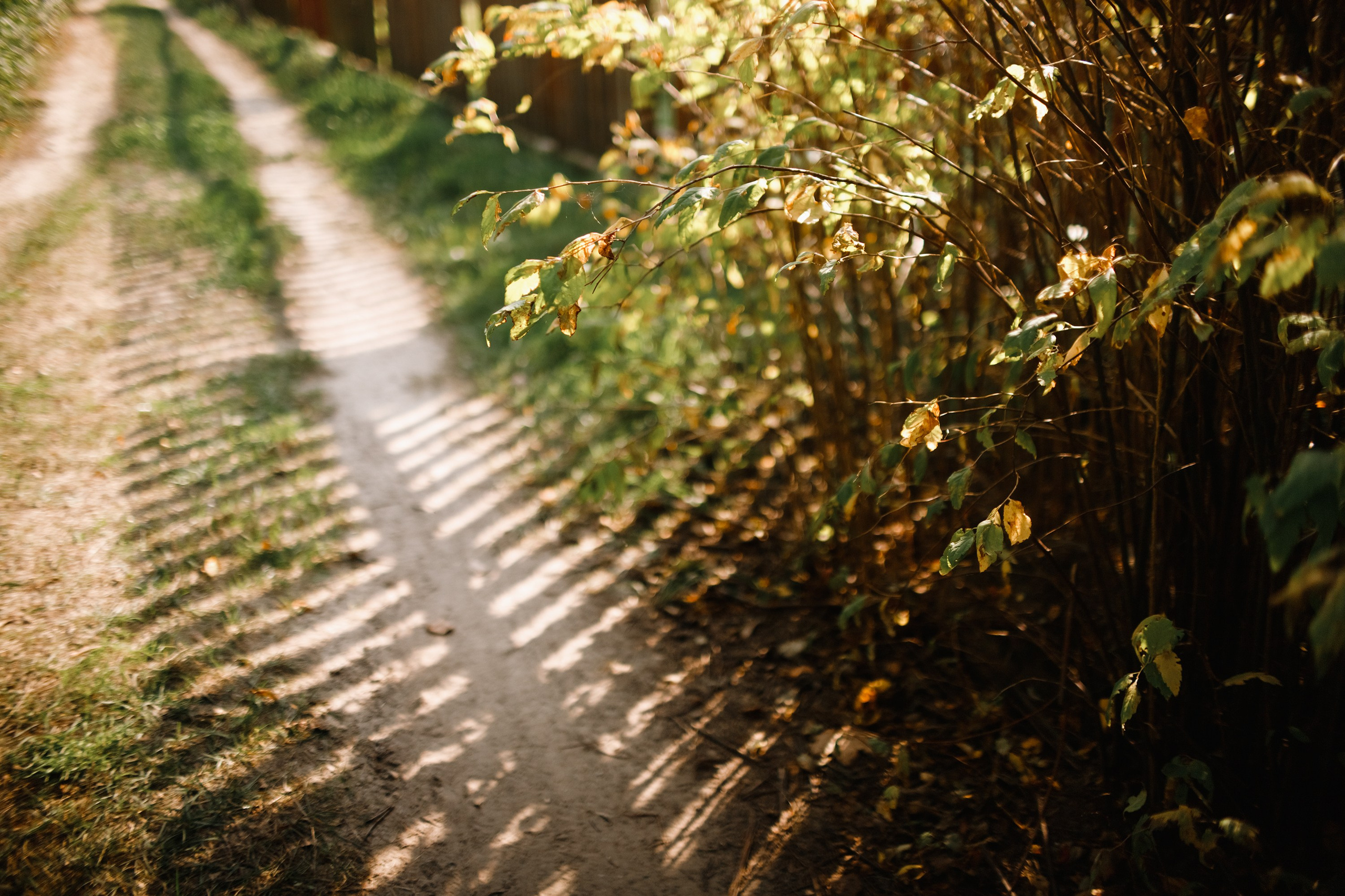 One small village in Grodno region. Kaja | fotograf we Wrocławiu | ludzie i psy