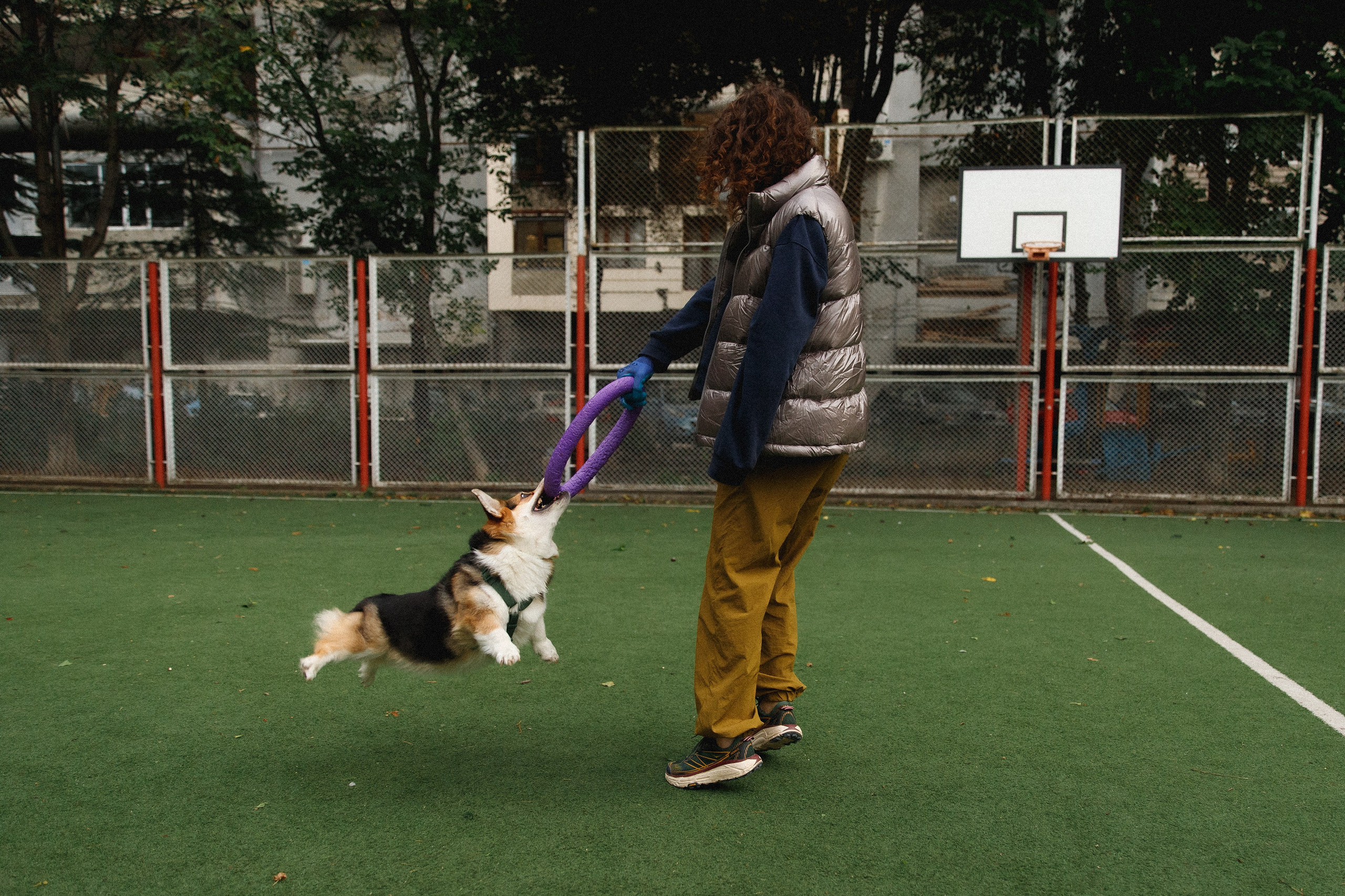 Sasha & Leonid. Kaja | fotograf psów we Wrocławiu