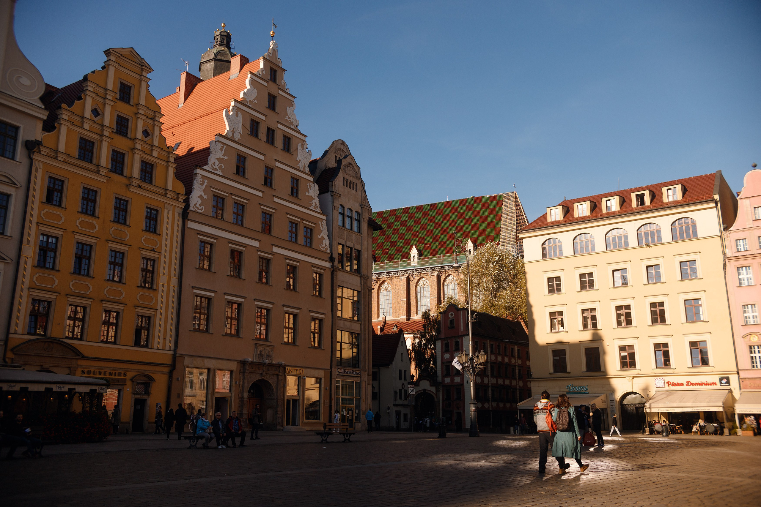 Wroclaw | the best ones. Kaja | fotograf psów we Wrocławiu