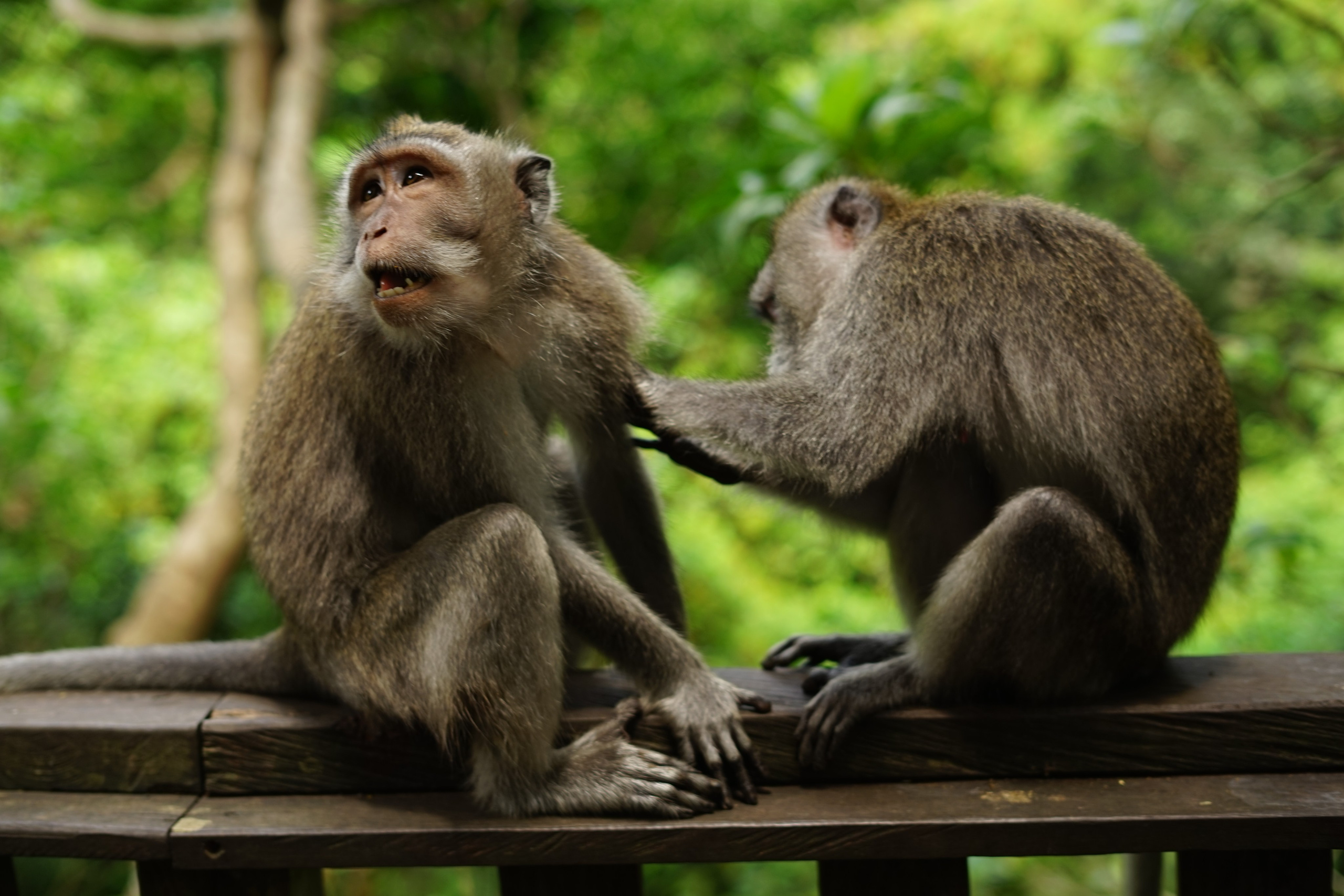Bali. Hotel and travel photographer