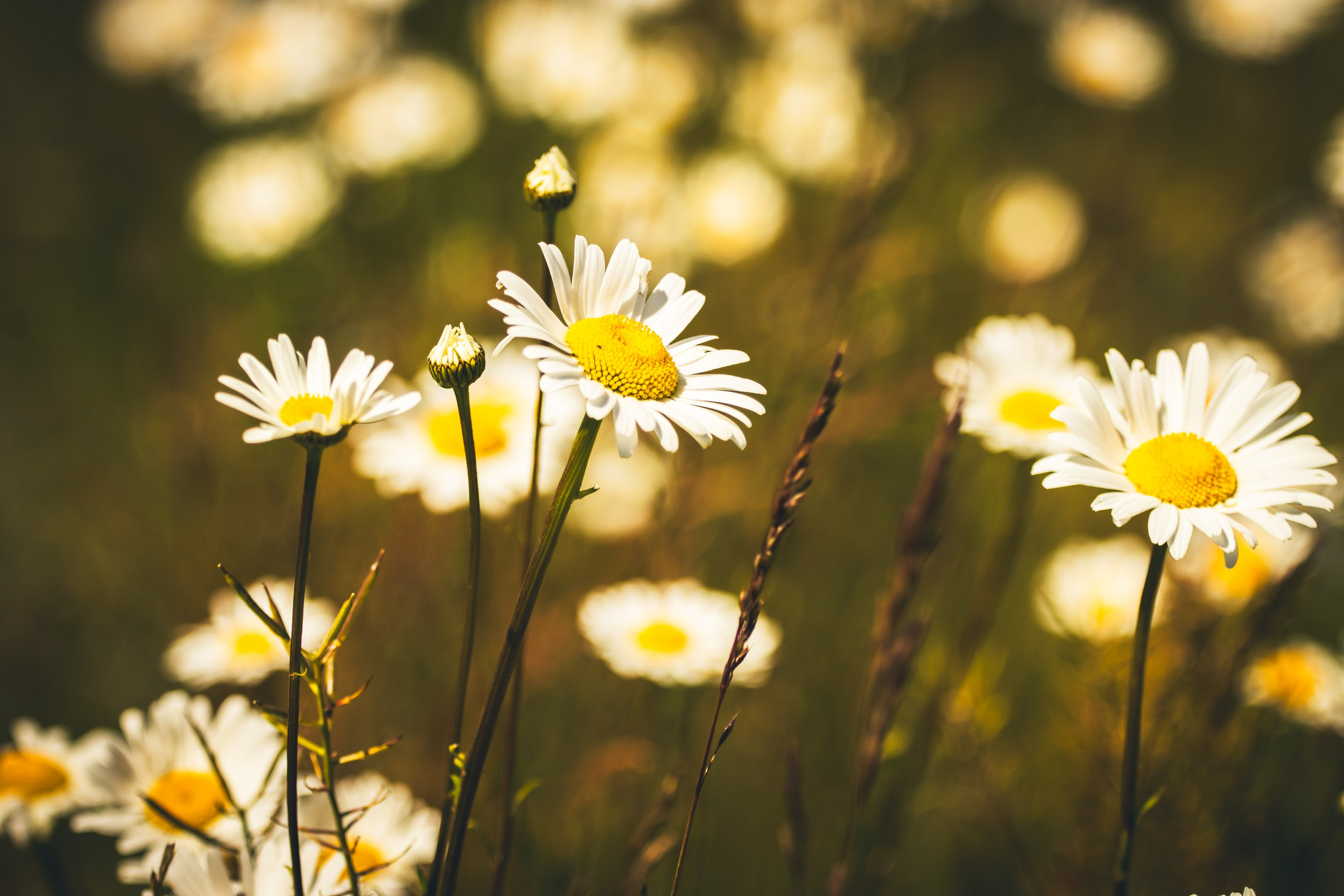 Jalgrattasõit ümbruskonnas. Nebula 25 — Fotod teie hingele