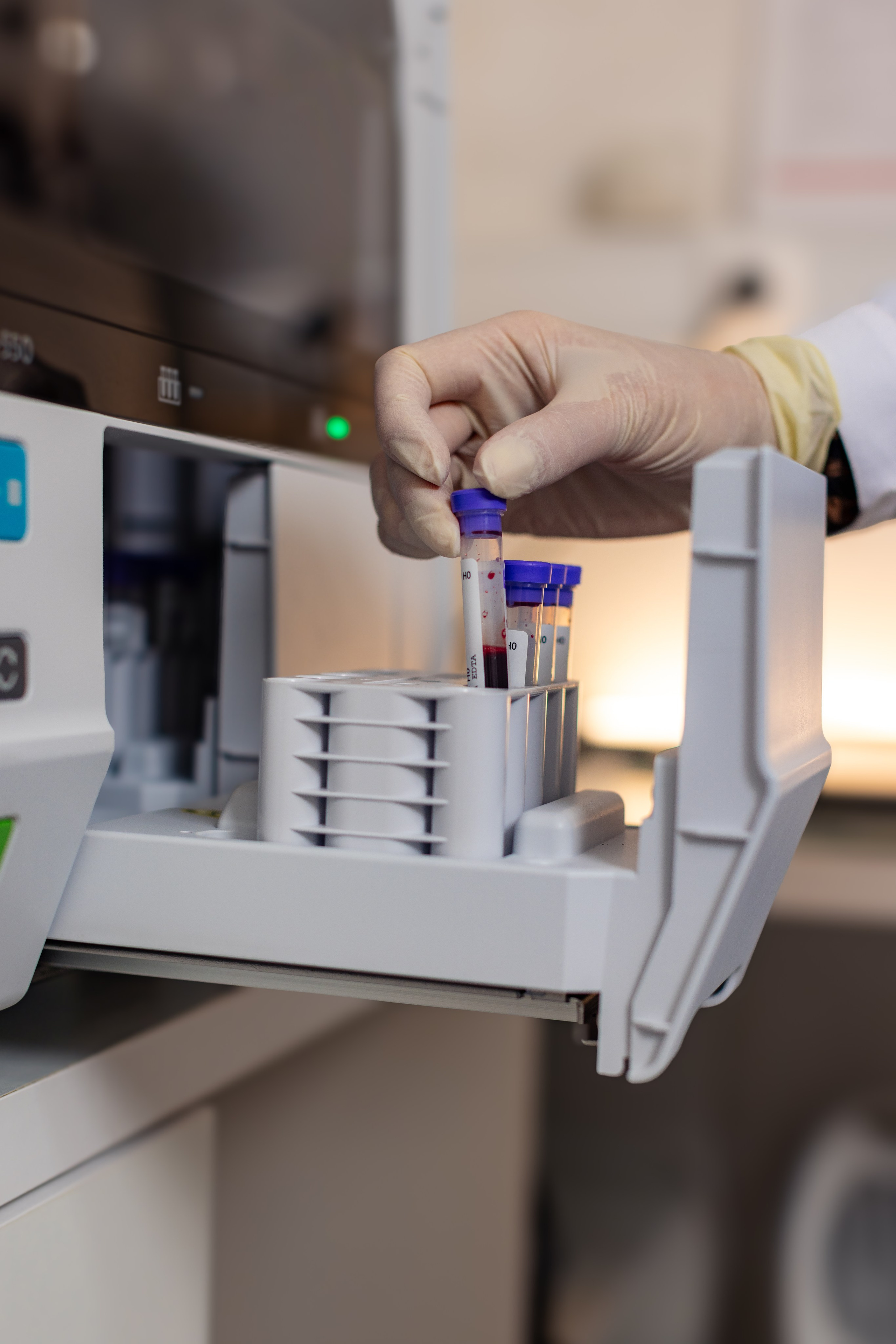 LABORATORIO. ESTUDIO DOZE