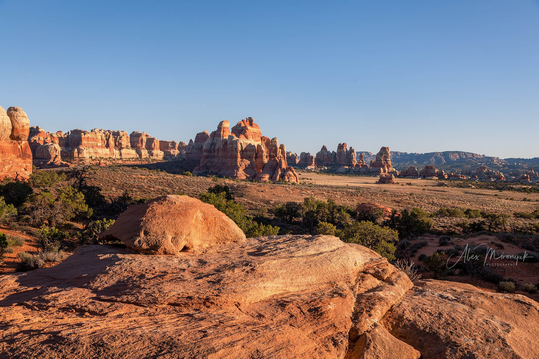 New Year In Utah. Pet, Senior, Landscape, portrait studio, photographer in Miami and Sou