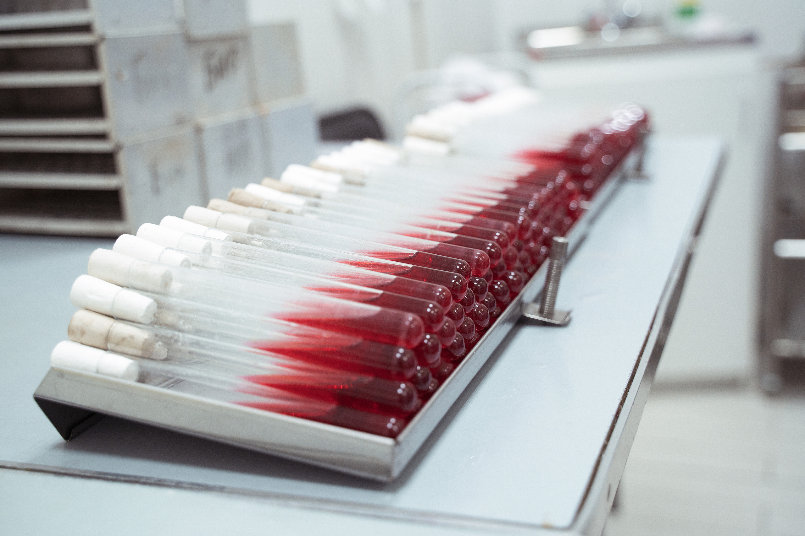 Photo shoot for medical laboratory Explana. Your photographer in Madeira