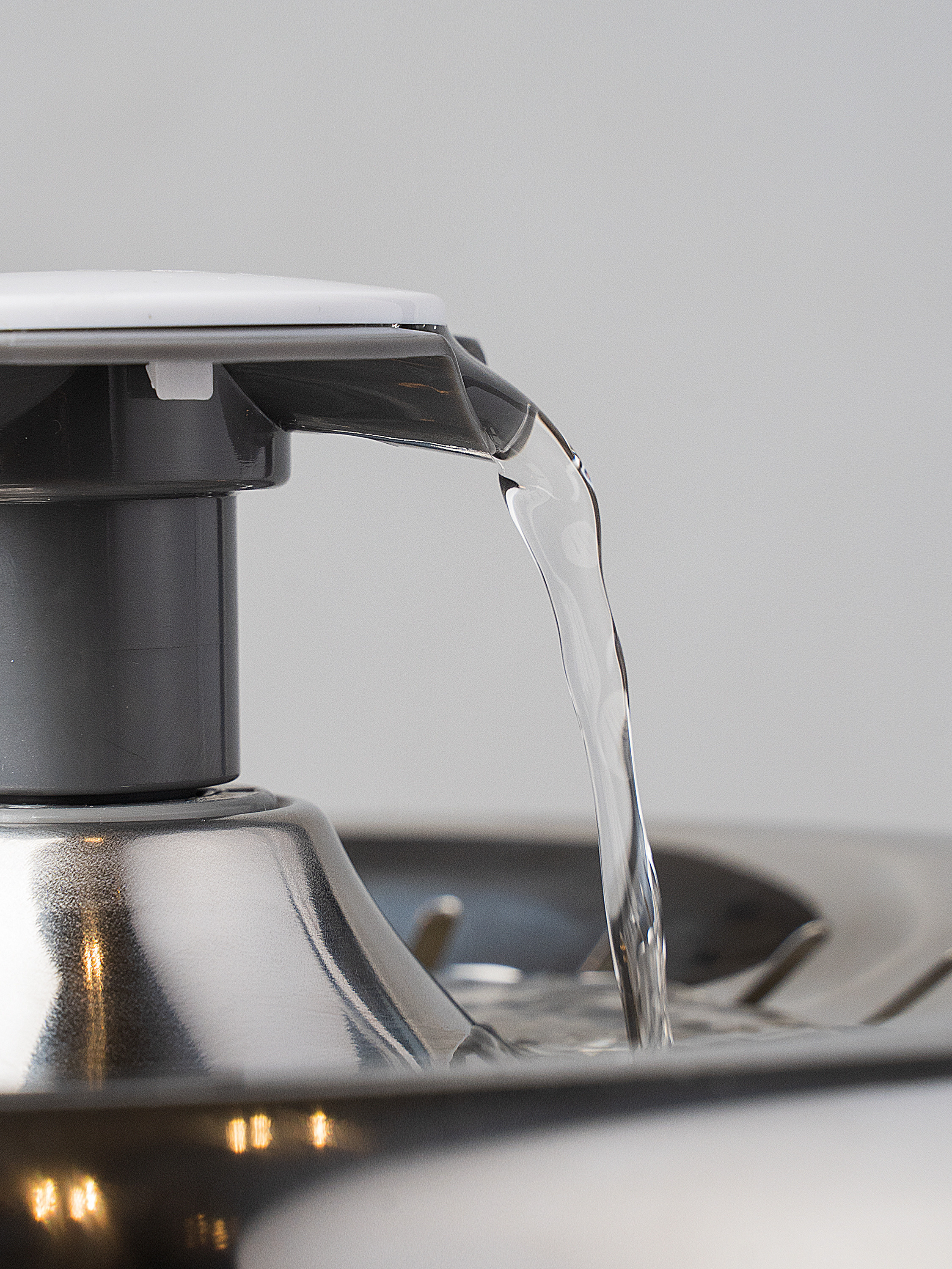 Photo shoot of pet products. Your photographer in Madeira